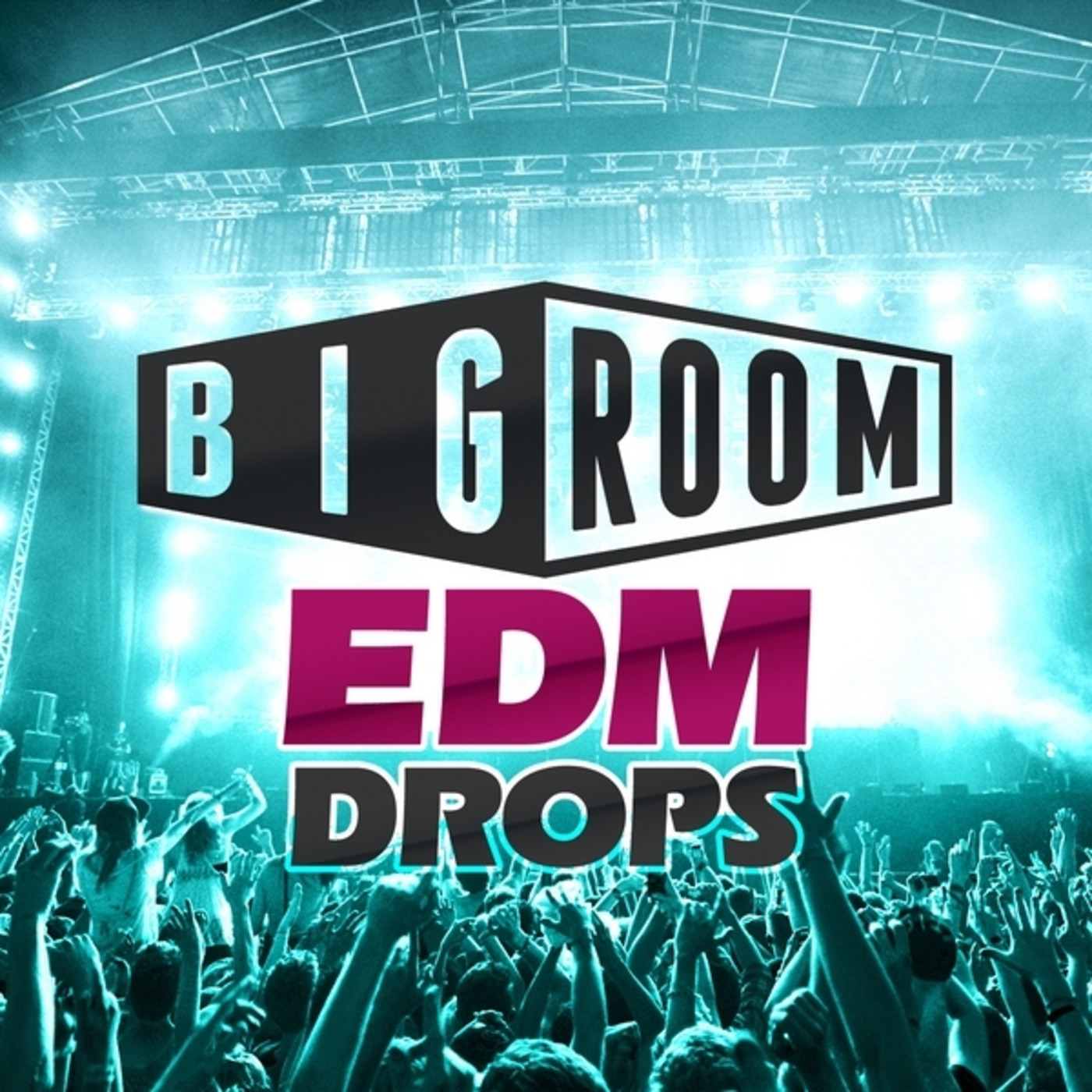 Big Room EDM Drops (Dj Canale)