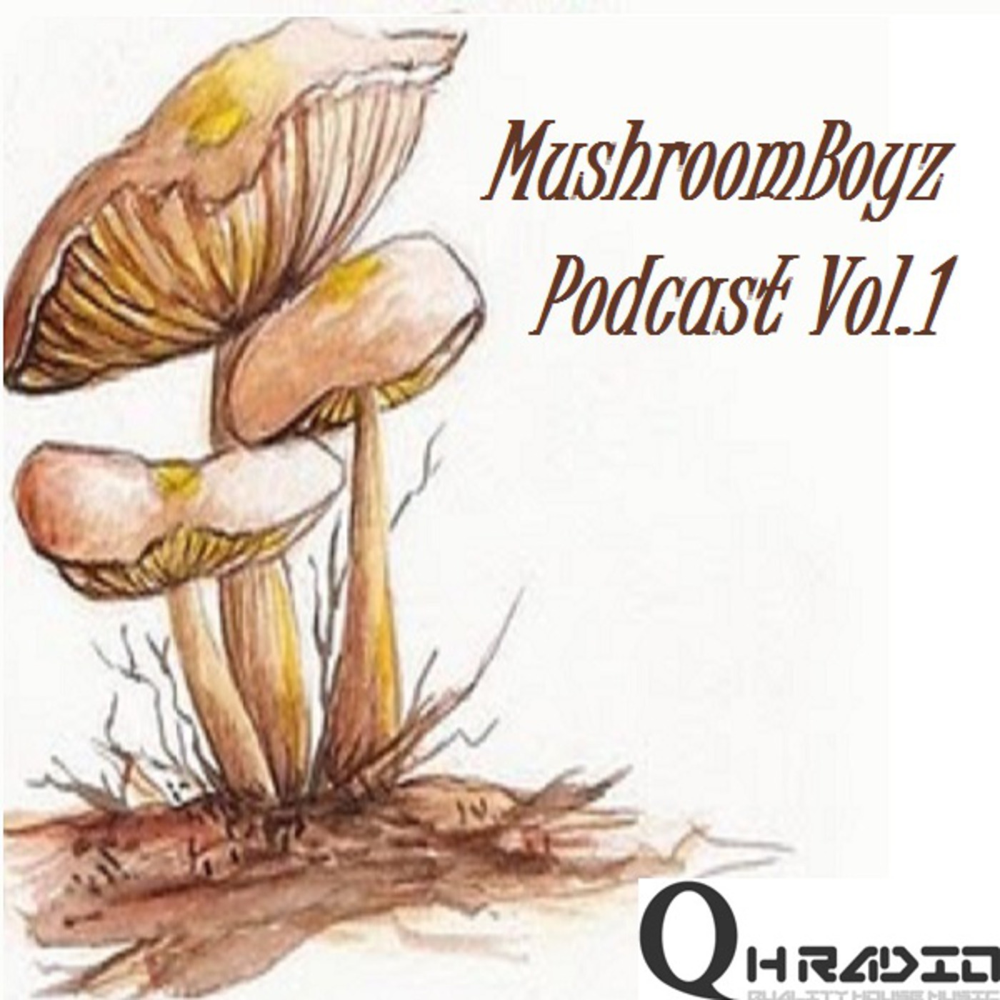 MushroomBoyz Podcast on QH Radio #1 (Menzi & Morena's Deep Thought's)