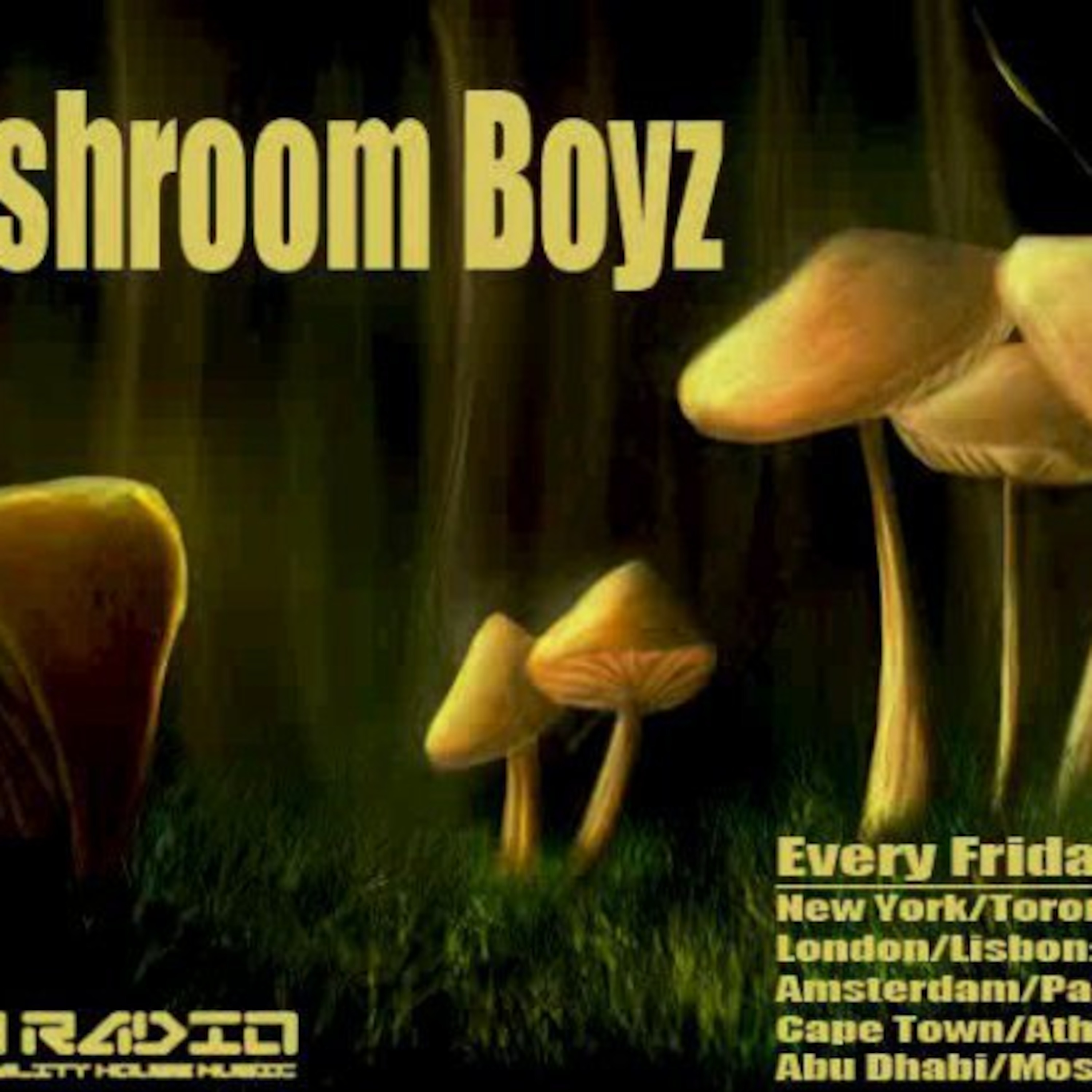Mushroom Boyz' Podcast