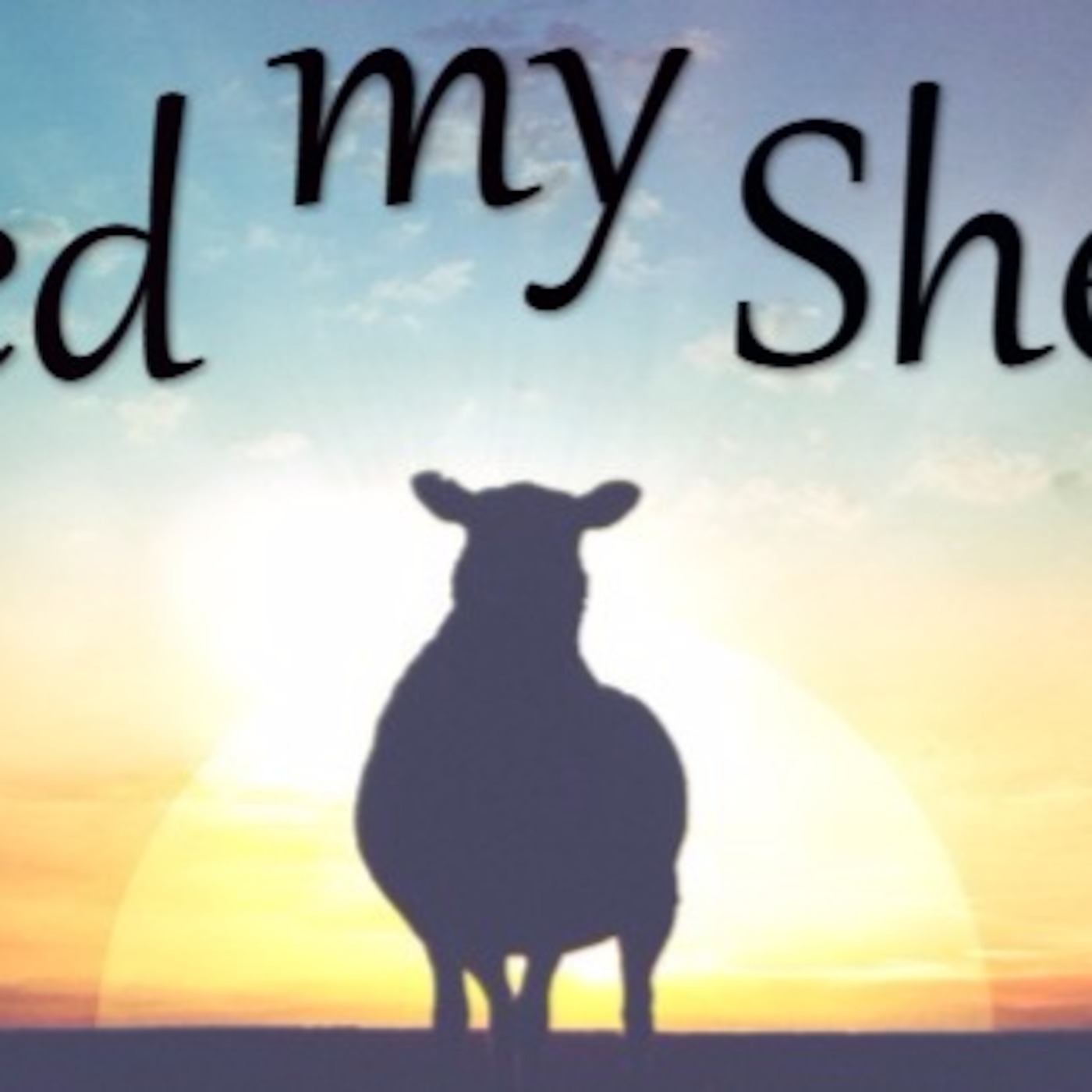 Feed MY Sheep