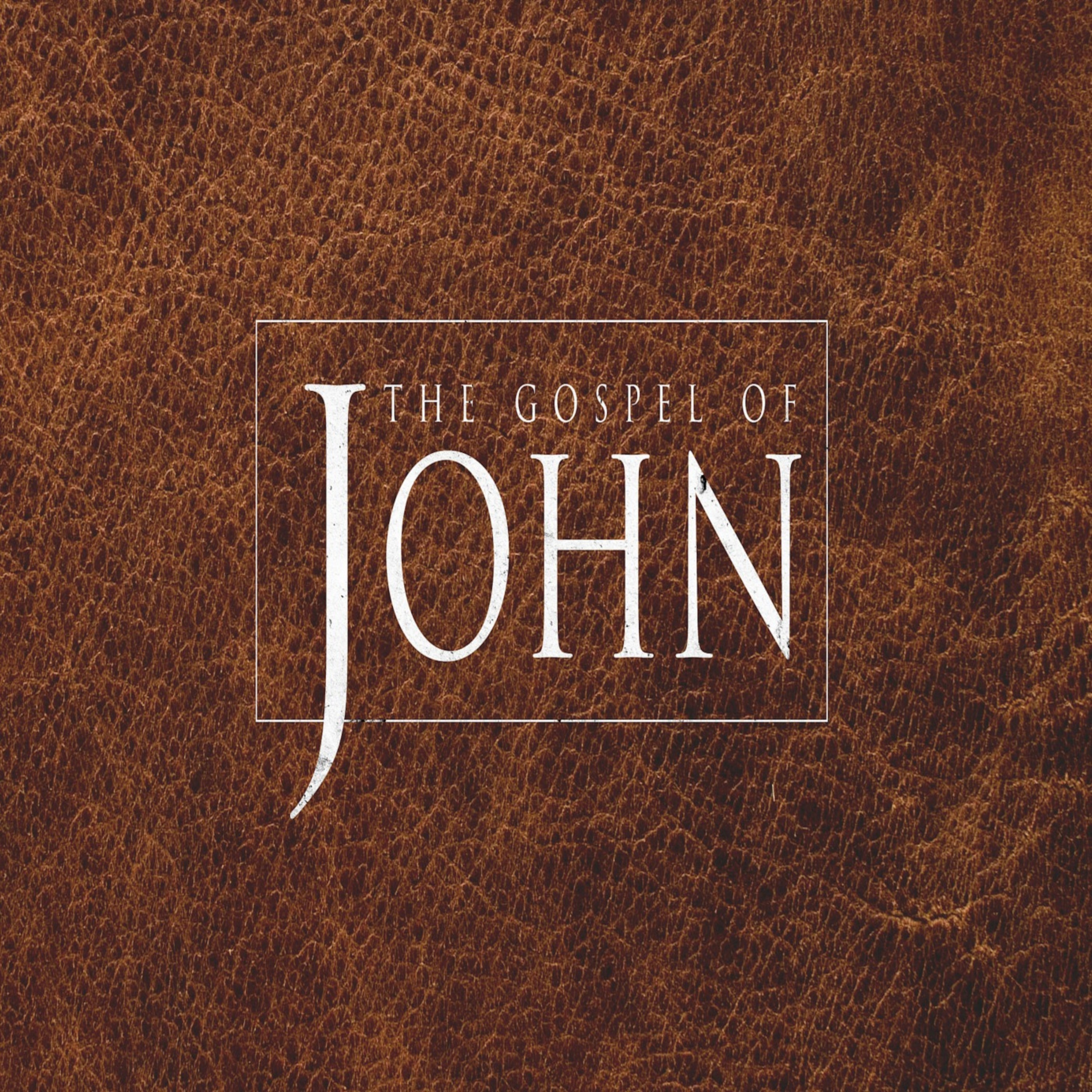 The Gospel of John: Week 9 episode artwork