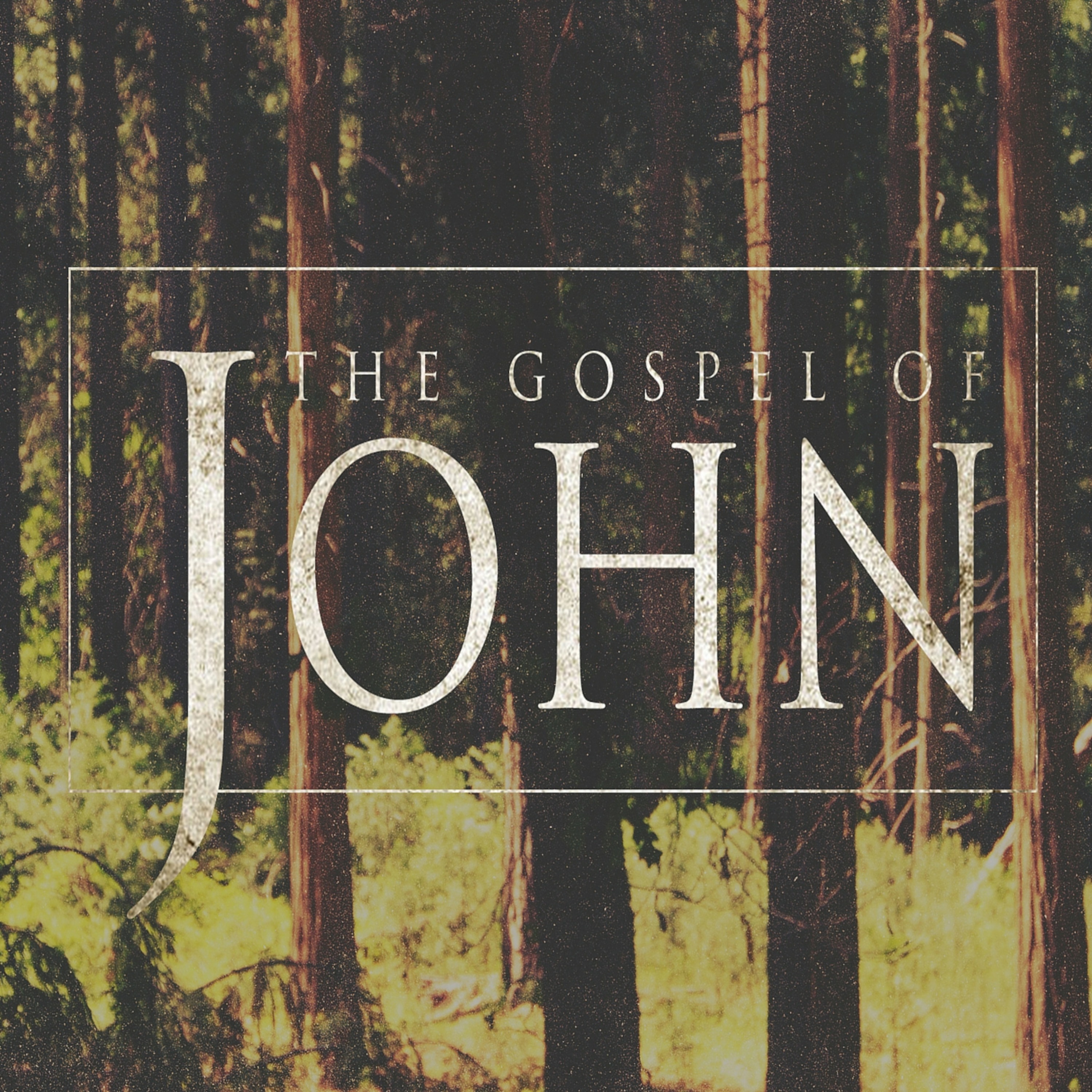 The Gospel of John episode artwork