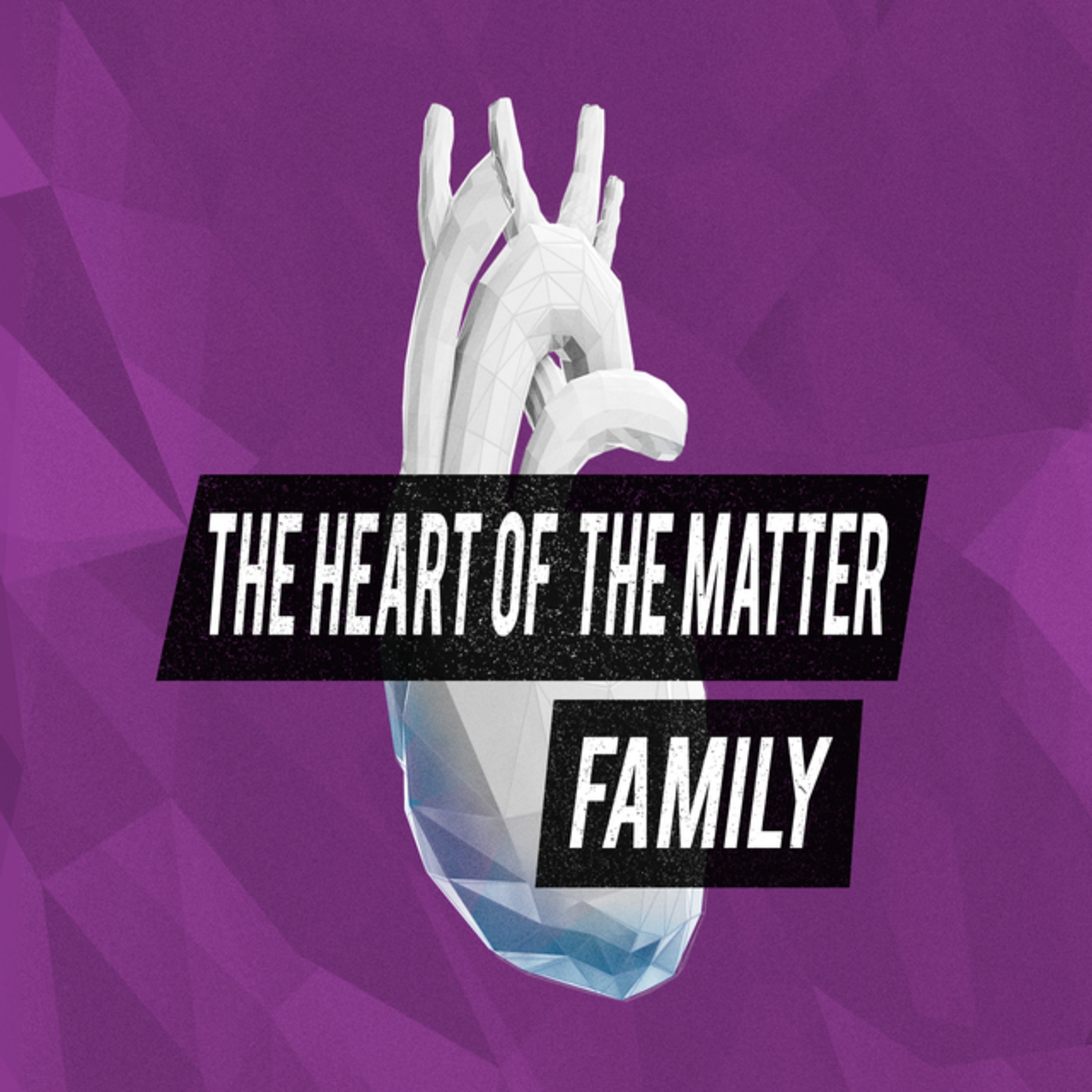 The Heart Of The Matter: Family episode artwork
