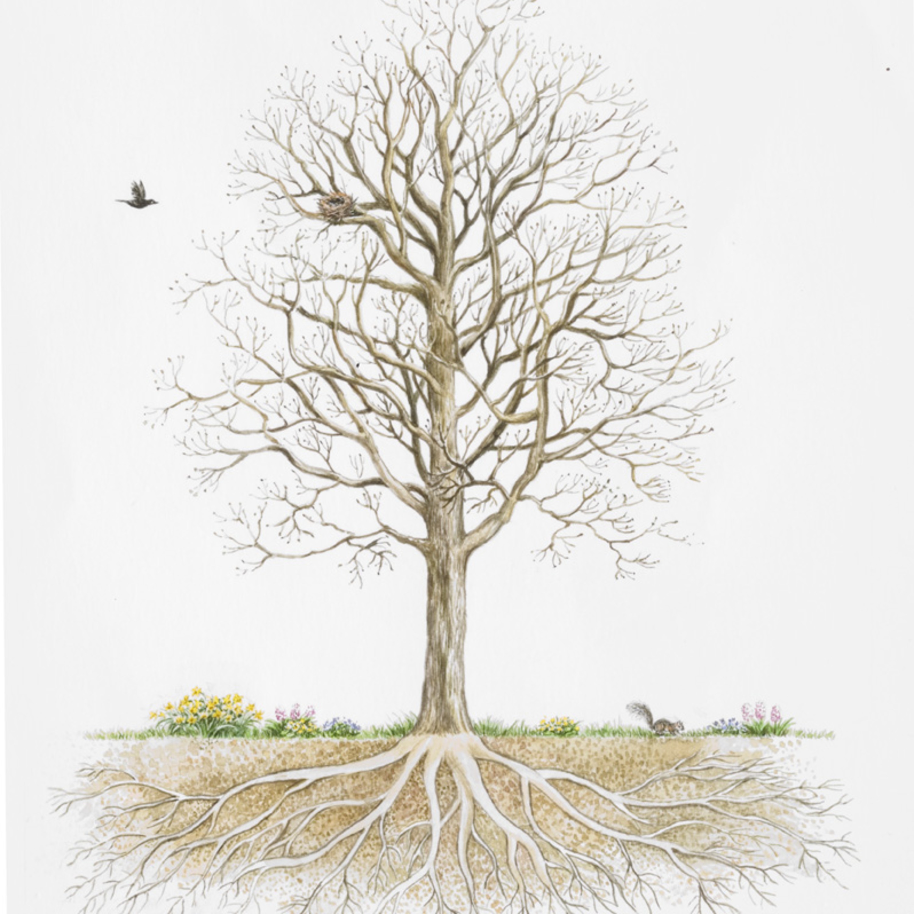 Aubadecast 2.4: Trees With Roots episode artwork