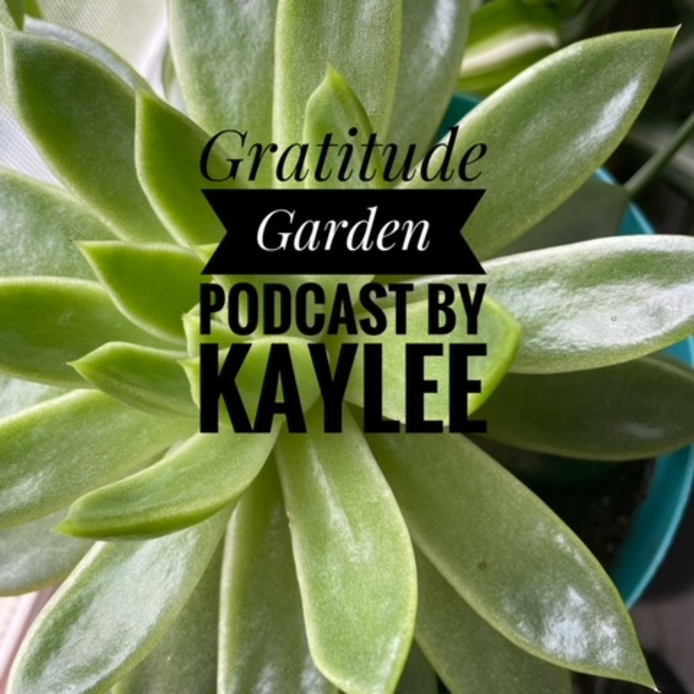 Episode 1: Introduction to Gratitude Garden
