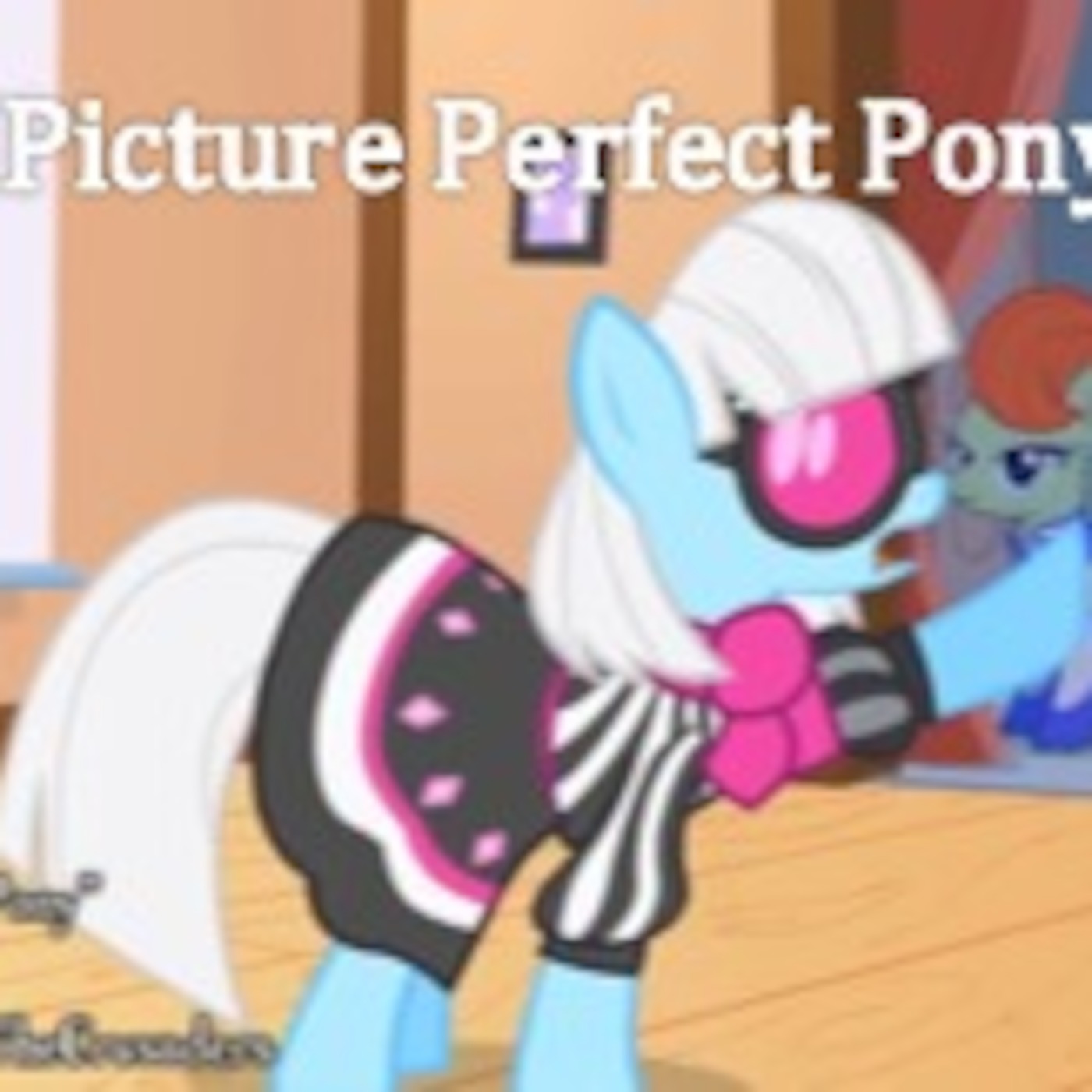 Picture Perfect Pony