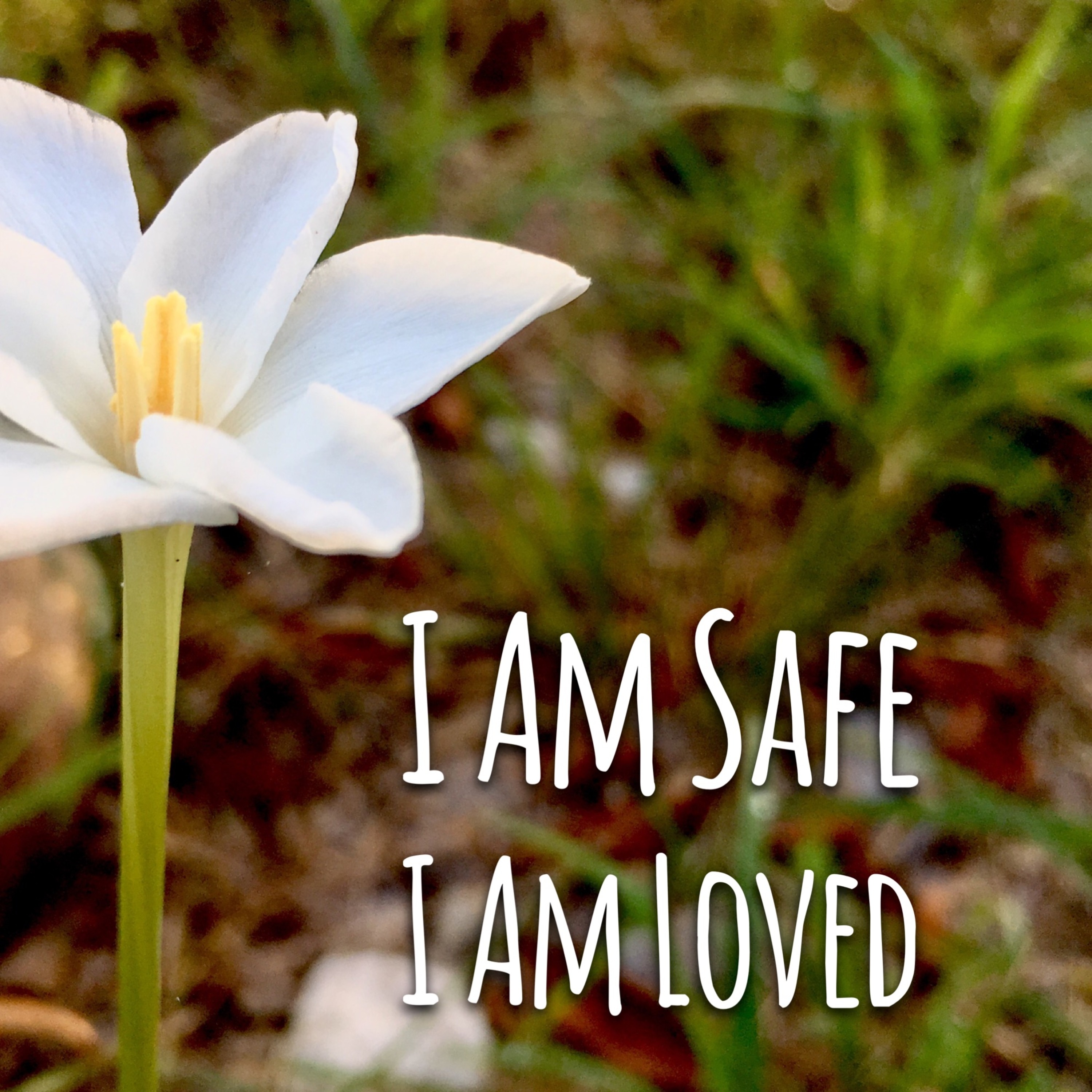 I Am Safe, I Am Loved | Guided Meditation | One Desire Church episode artwork