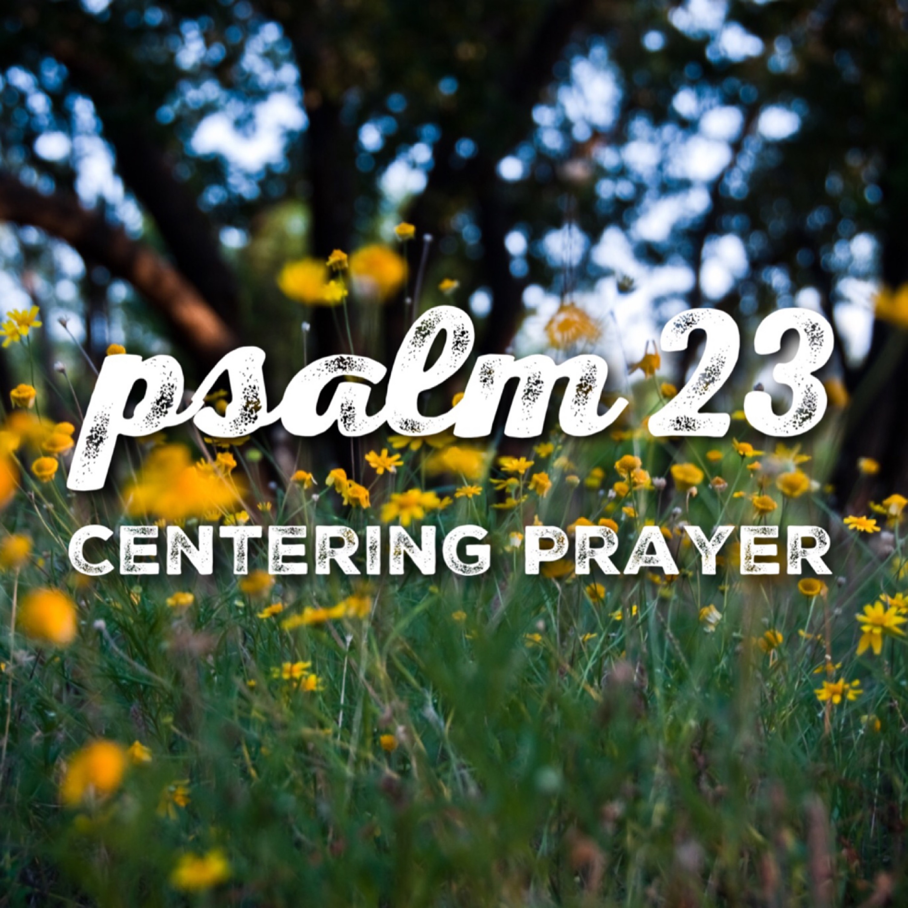 Psalm 23 -  7 Minute Centering Prayer | One Desire Church episode artwork