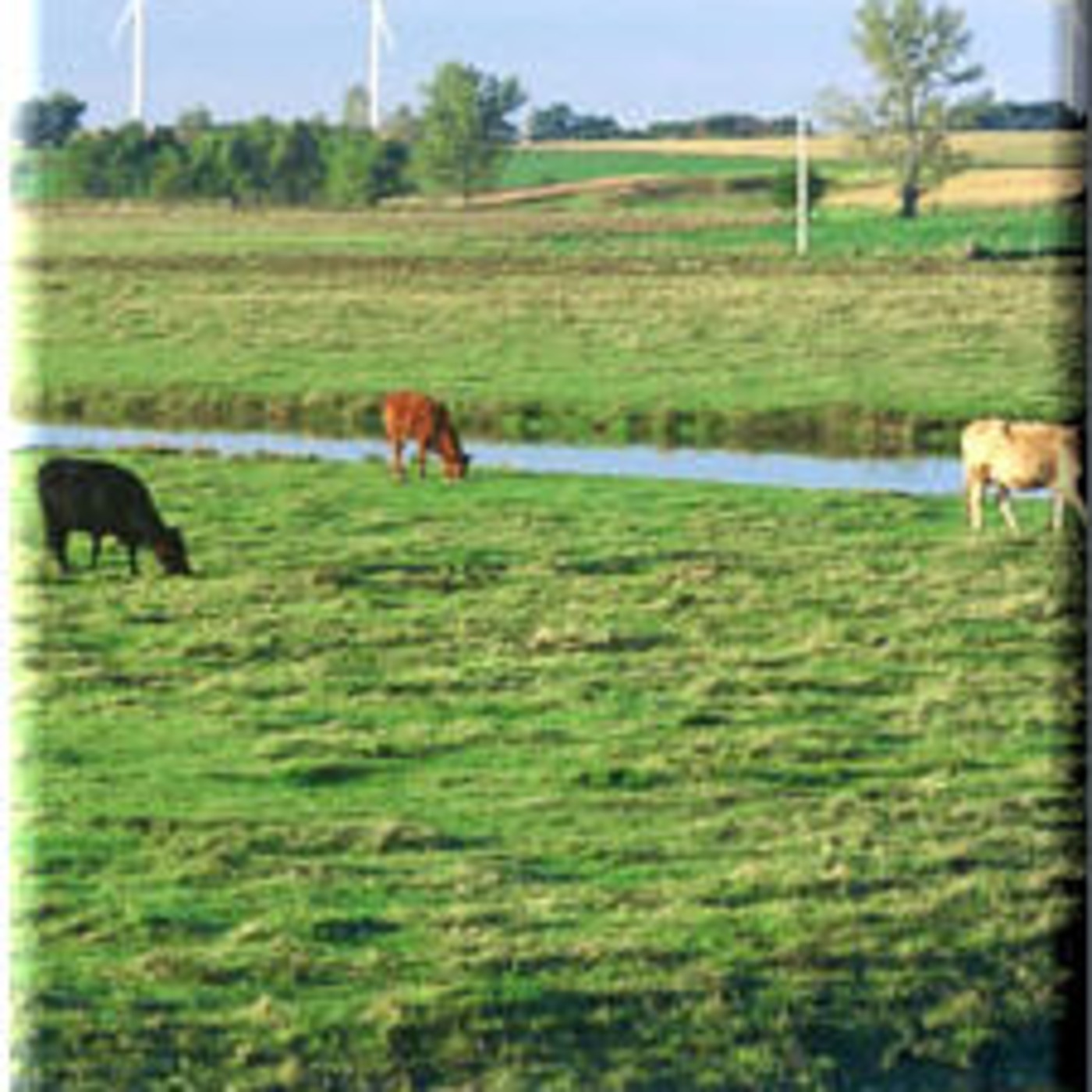 Wind Energy Info podcast artwork