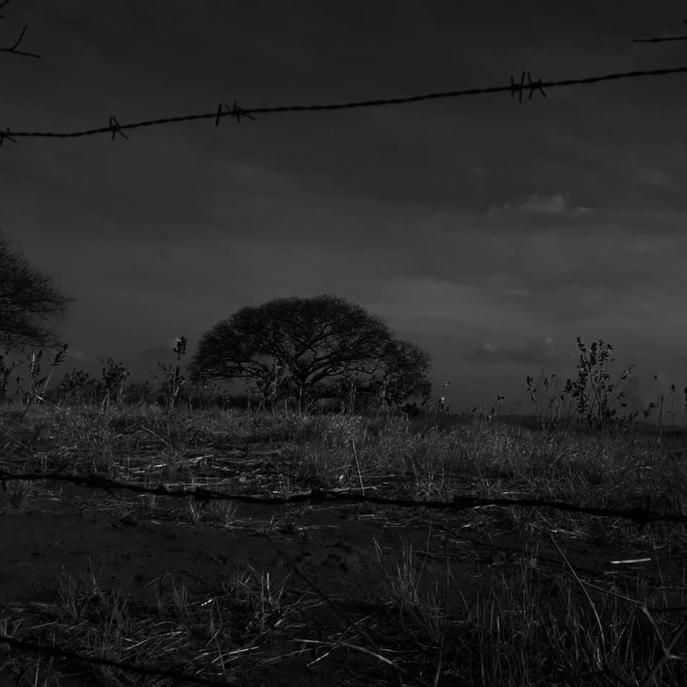A Gazeta de Mordor