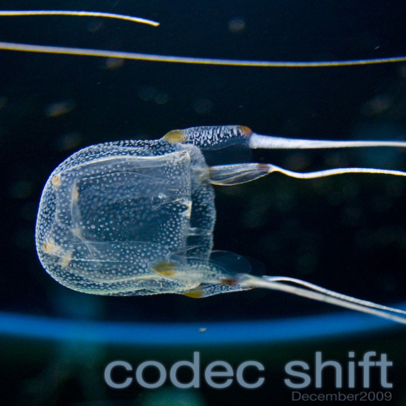 Codec Shift December FEEL Mixtape episode artwork