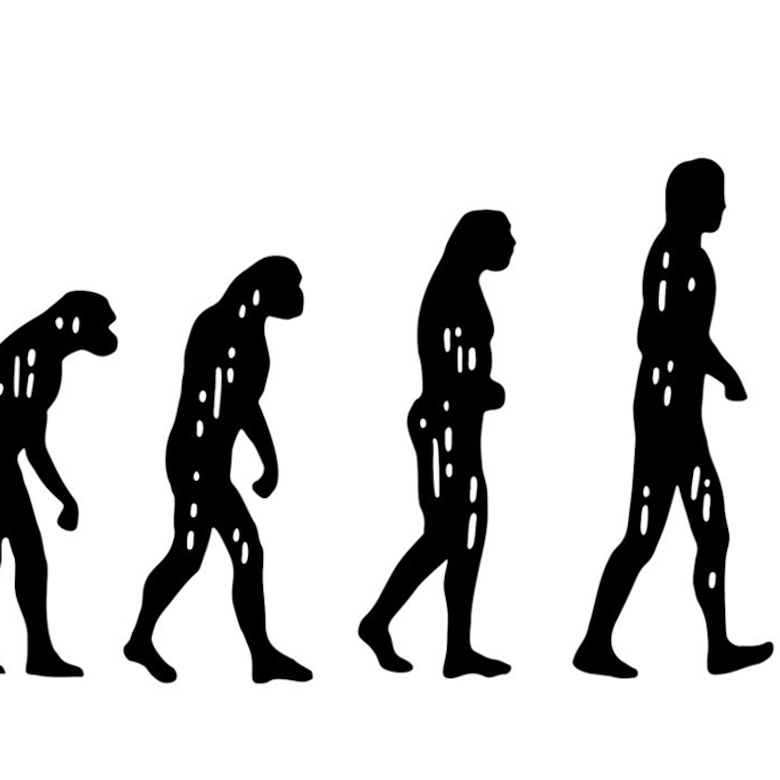 Peak Human Evolution