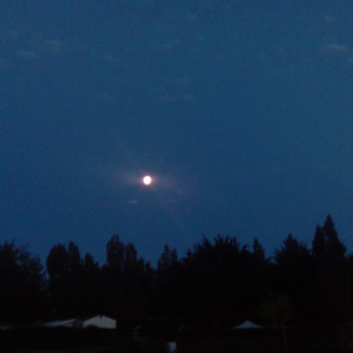 THE DIGITAL GOSPEL CHANNEL