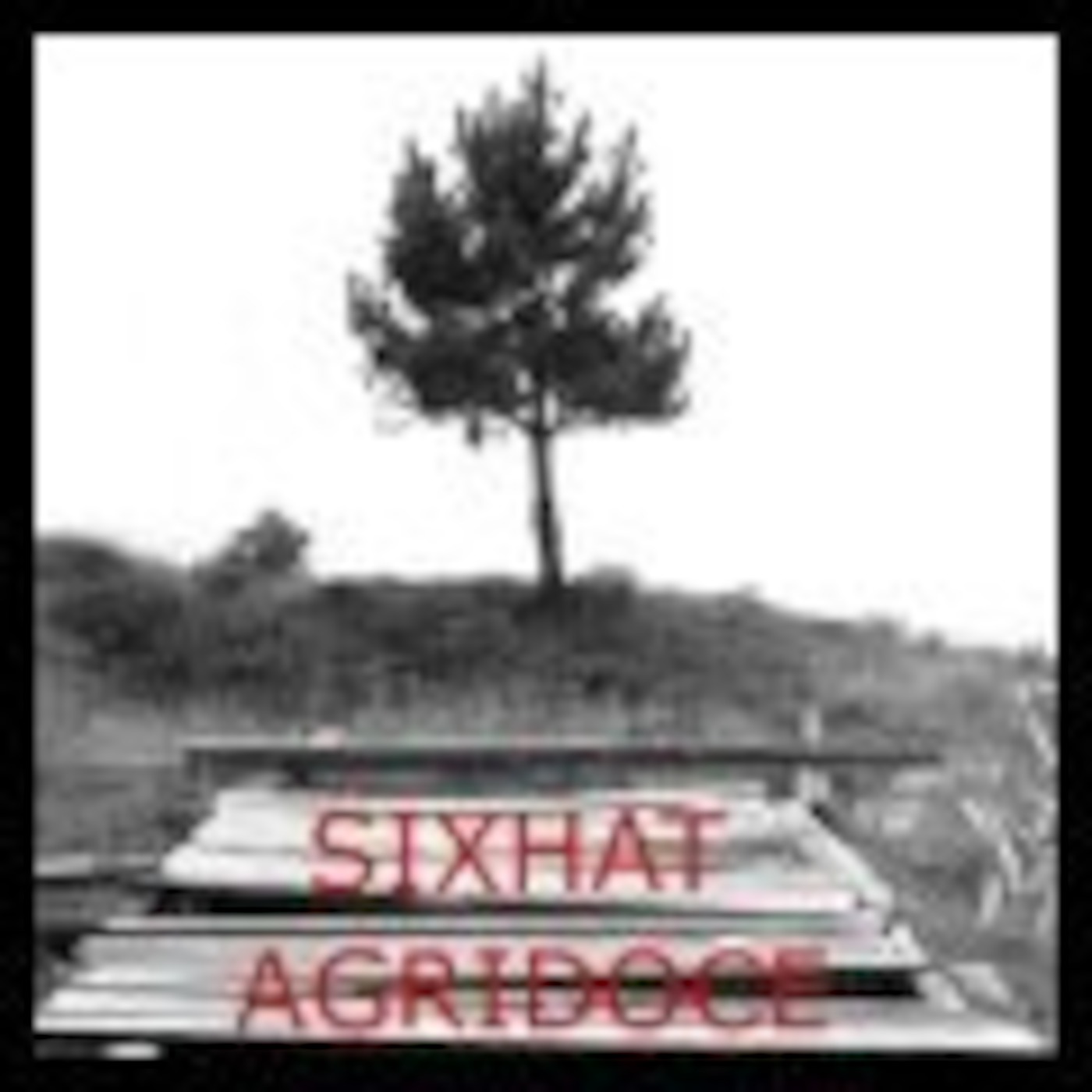 SIXHAT #31