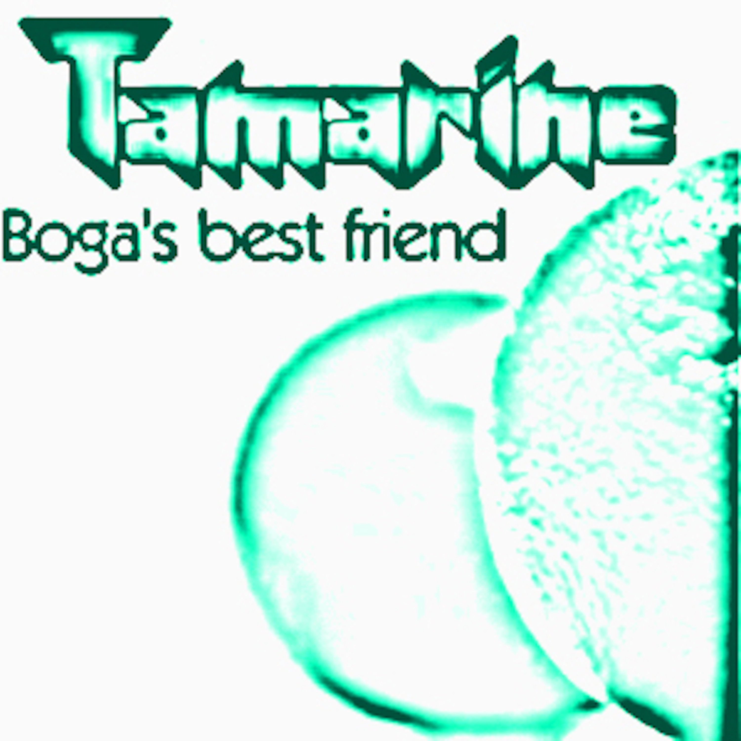 Podcast Tamarine - Boga\'s best friend - muito indie rock e música eletrônica