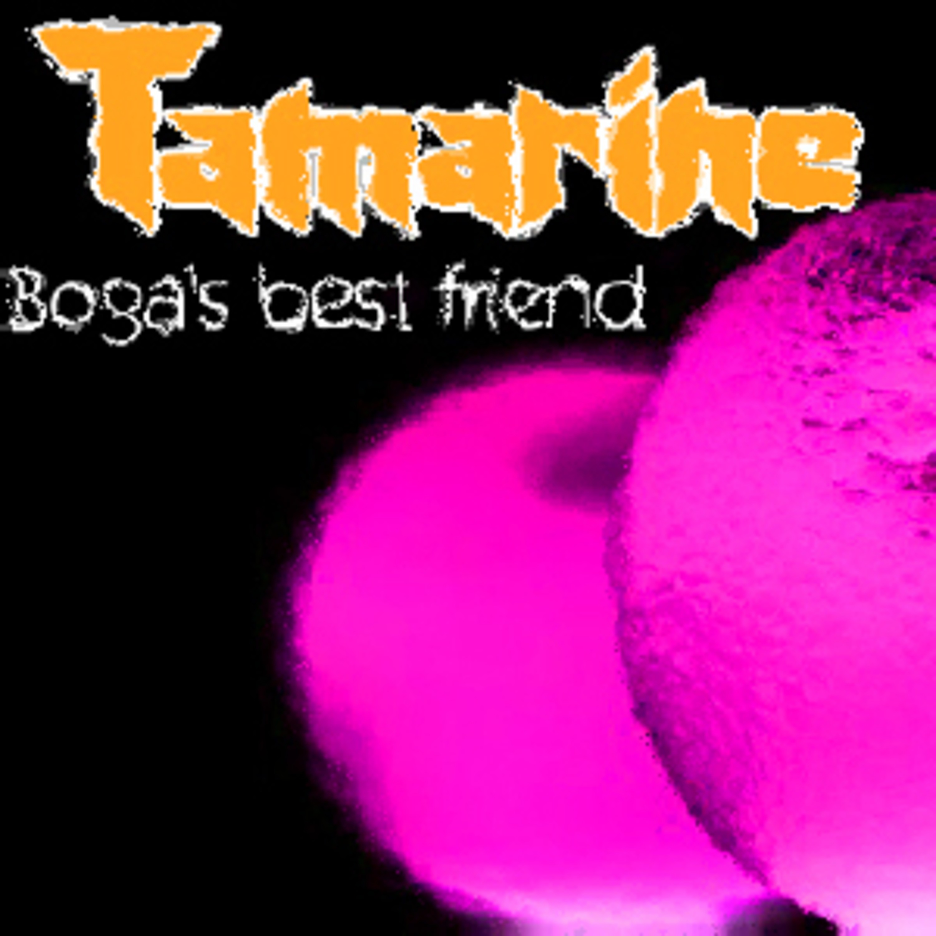 Podcast Tamarine - Boga\'s best friend - muito indie rock e música eletrônica