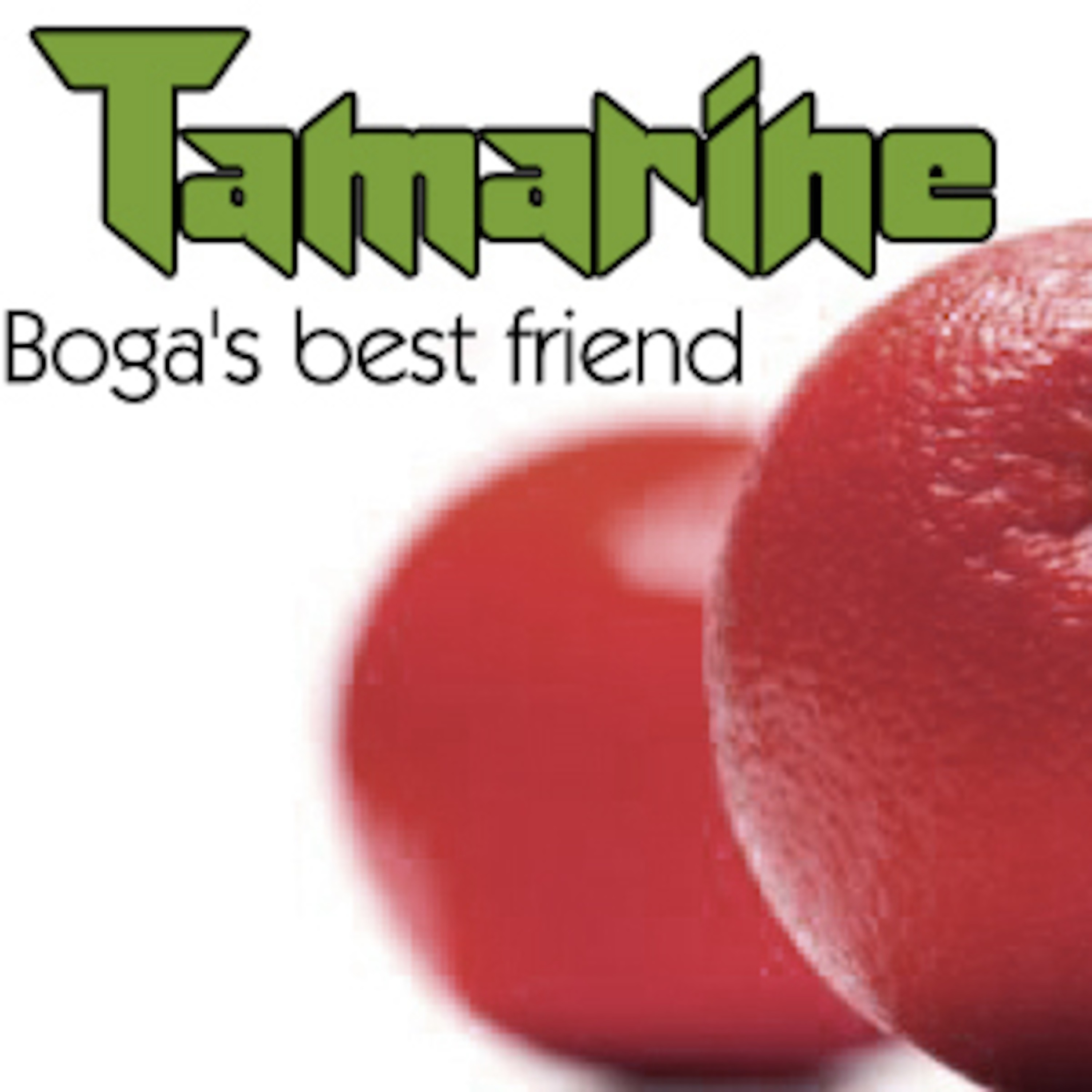 Podcast Tamarine - Boga\'s best friend - muito indie rock e música eletrônica