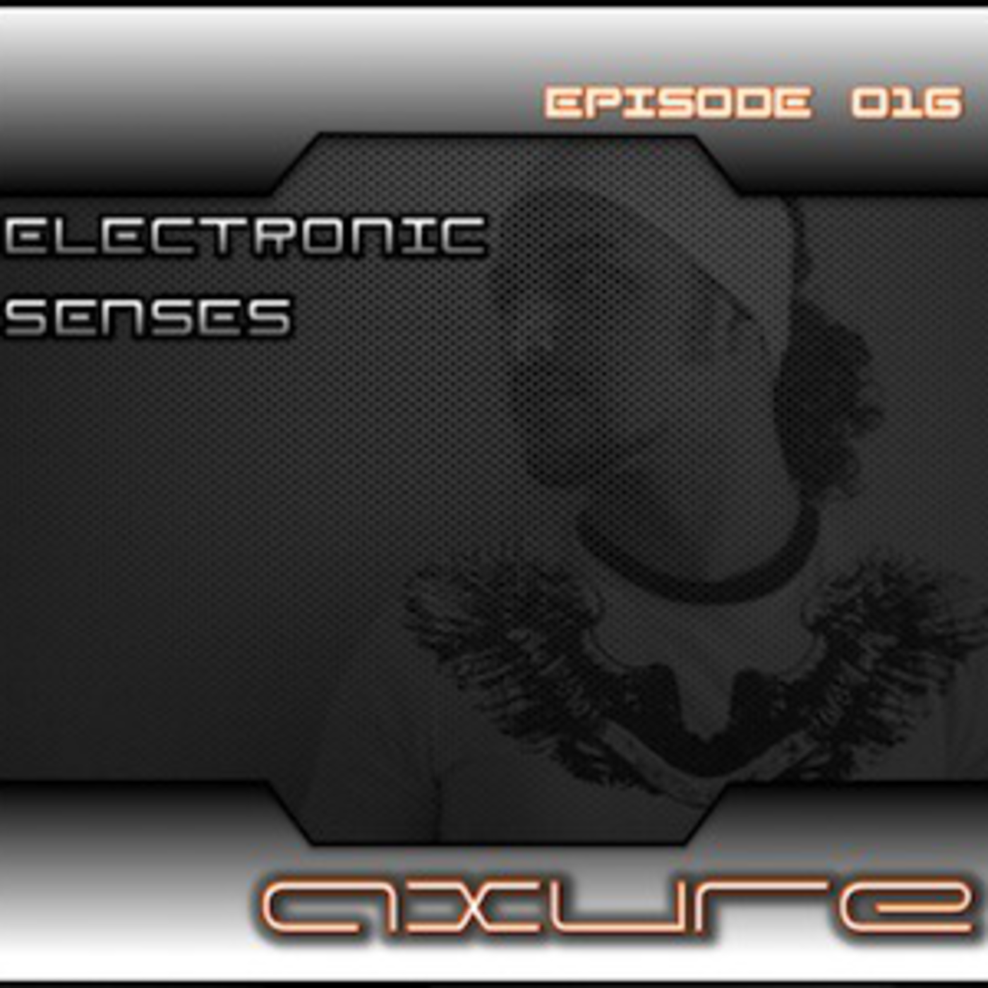 Electronic Senses 016