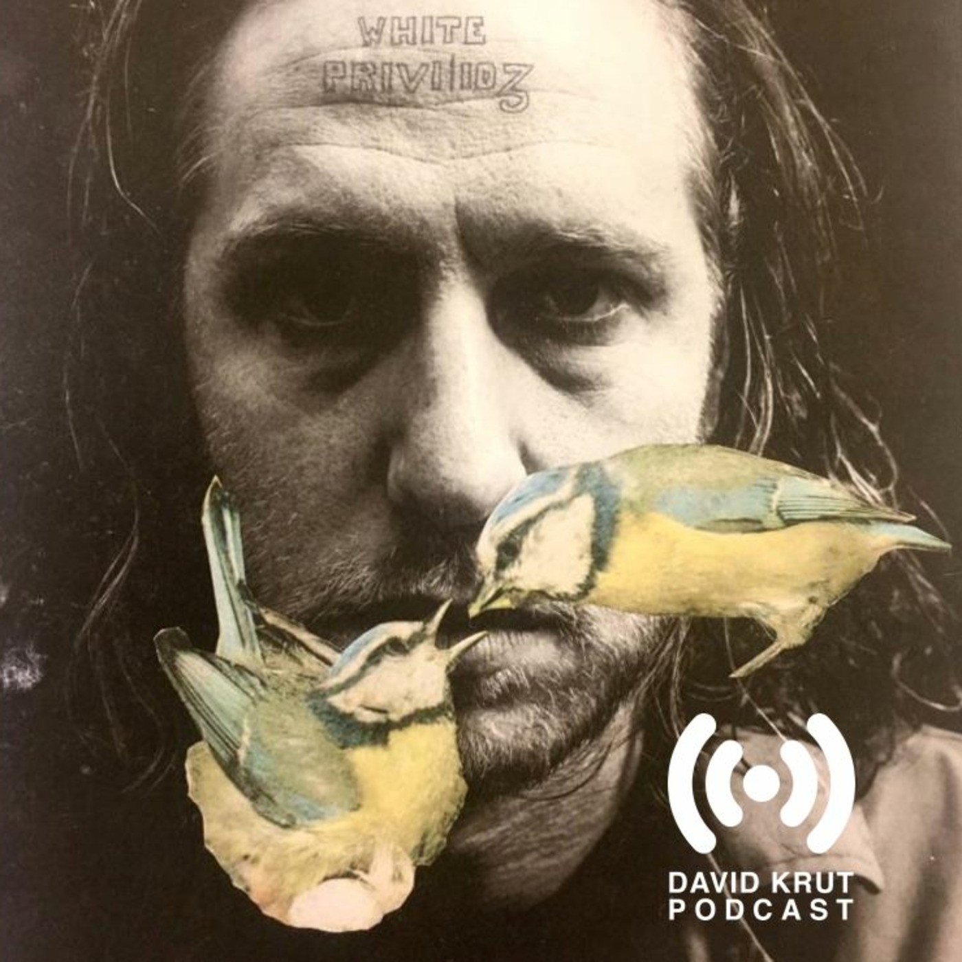 David Krut Podcast