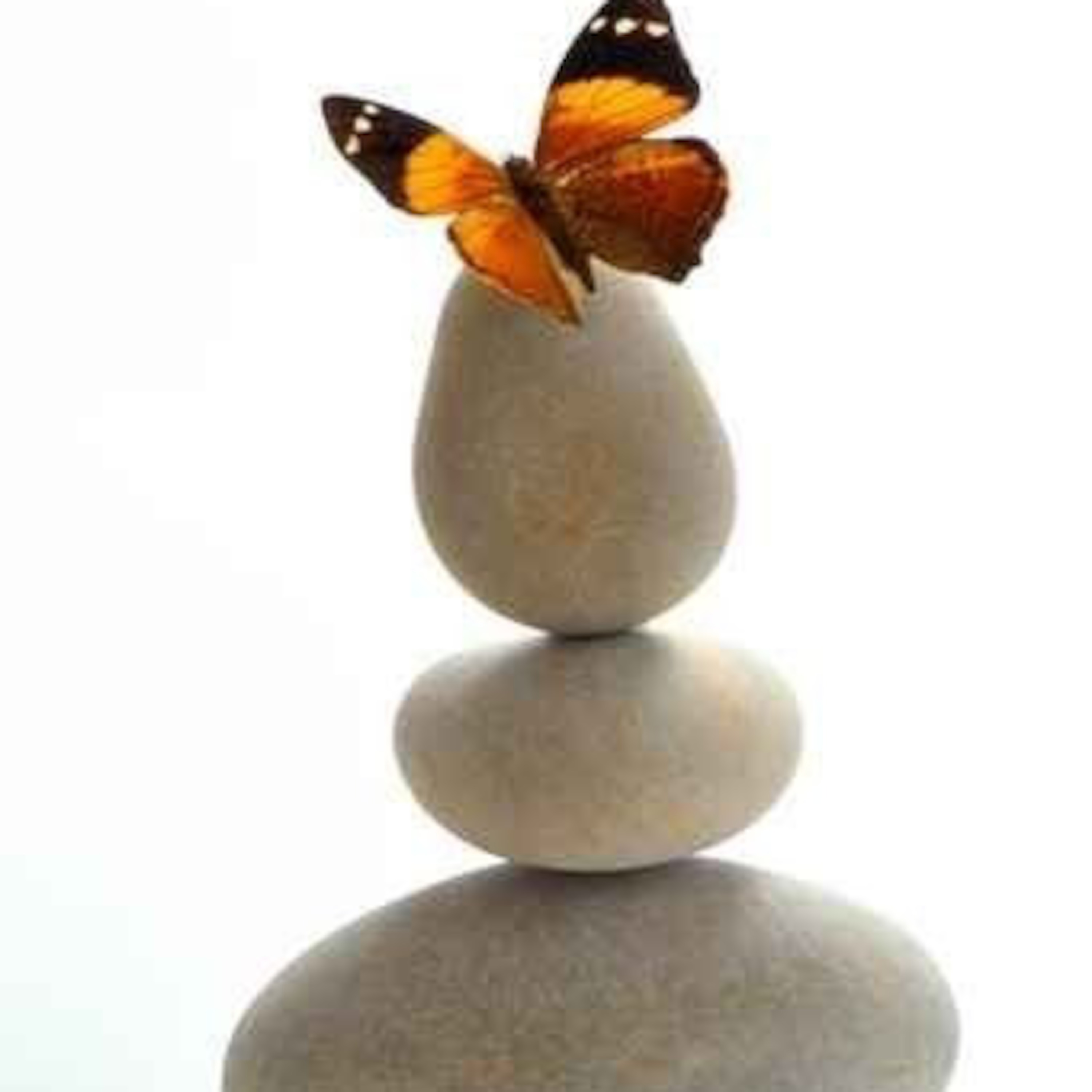 Transform Your Life! podcast artwork