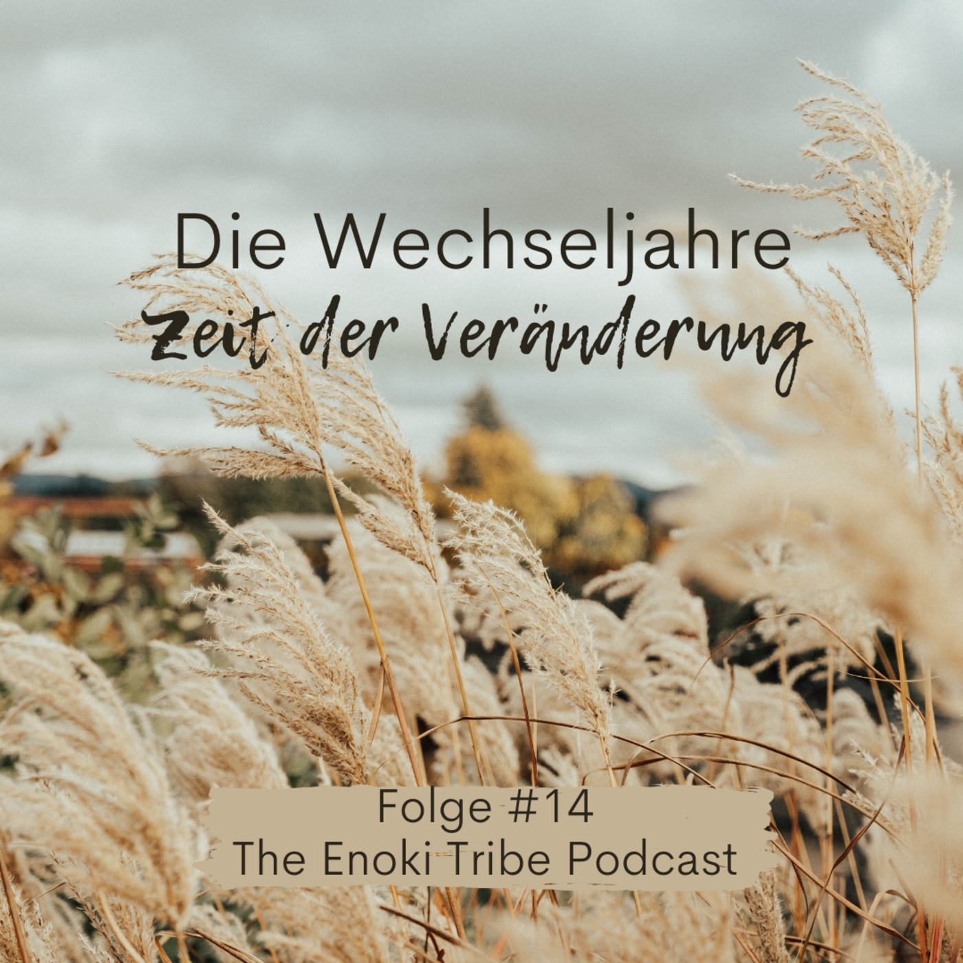 The Enoki Tribe Podcast