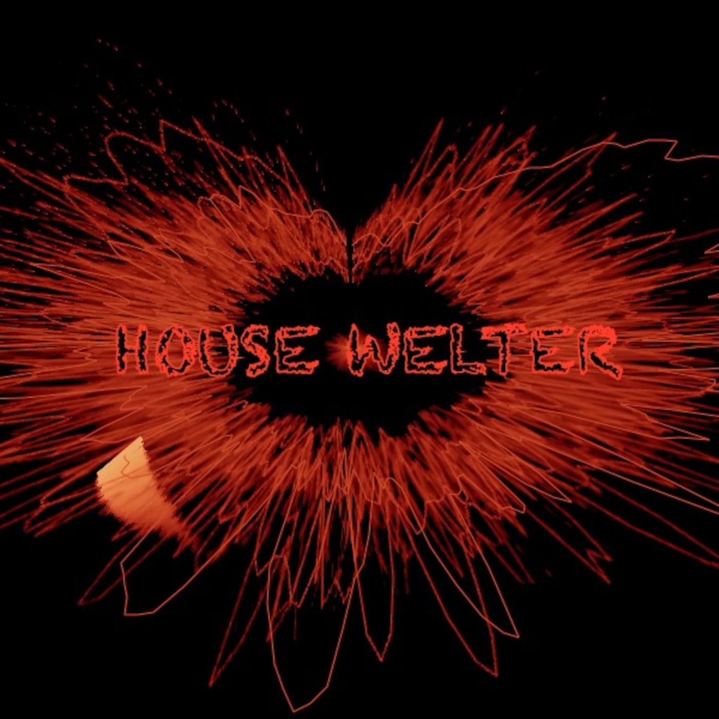 Mehul Goenka - House Welter