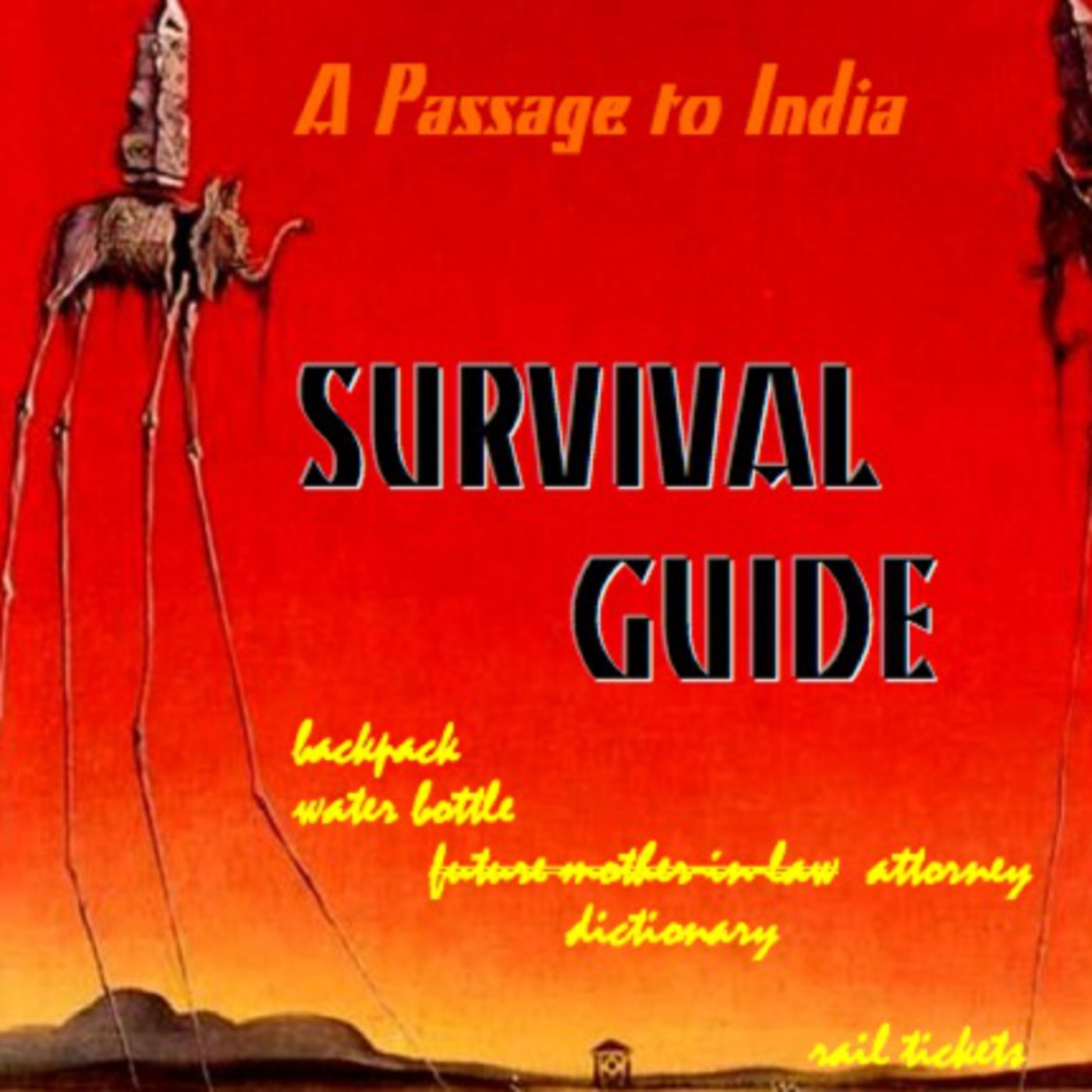 A Passage to India Survival Guide A Passage to India Survival Guide