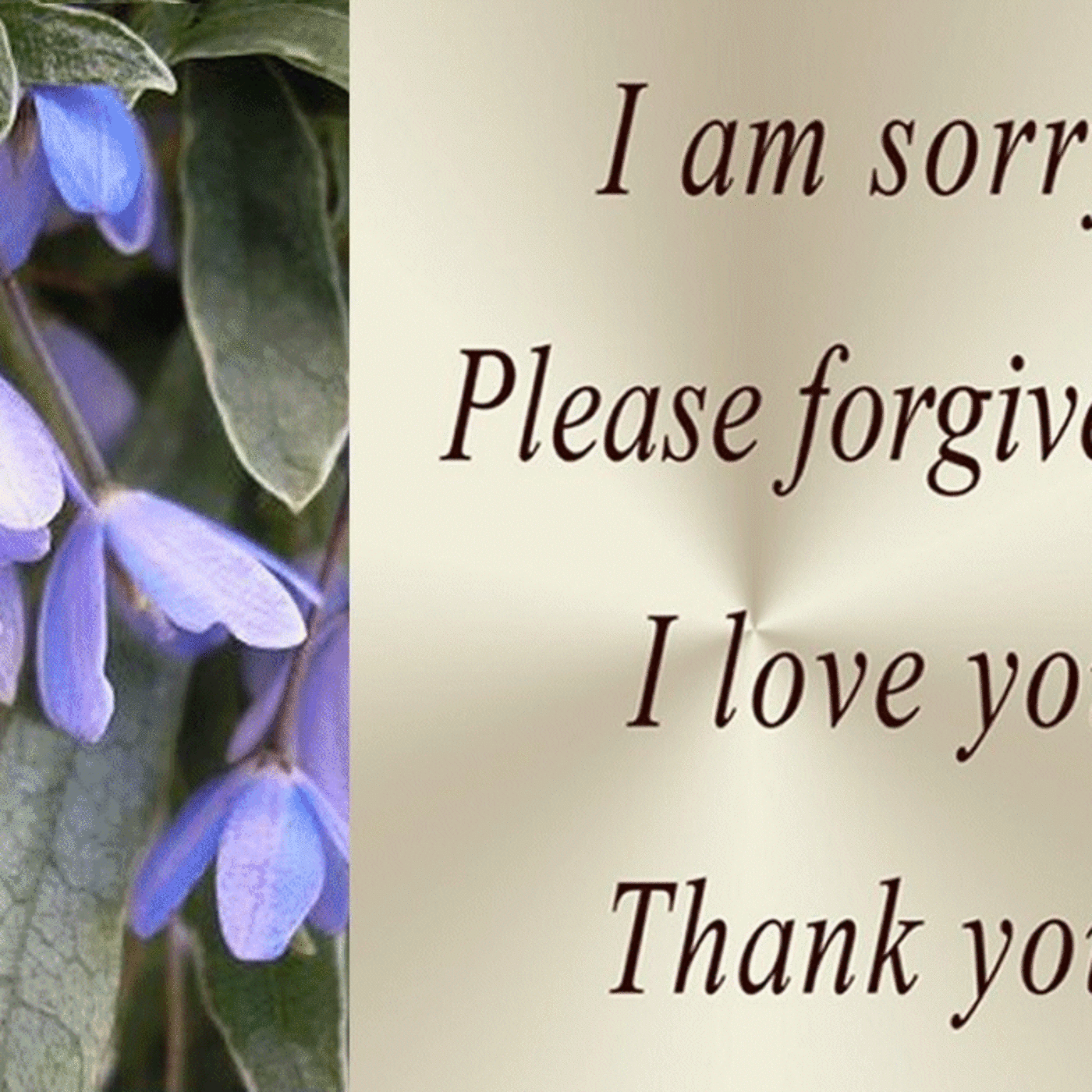 Guided Meditation Centering with Ho'oponopono and EFT