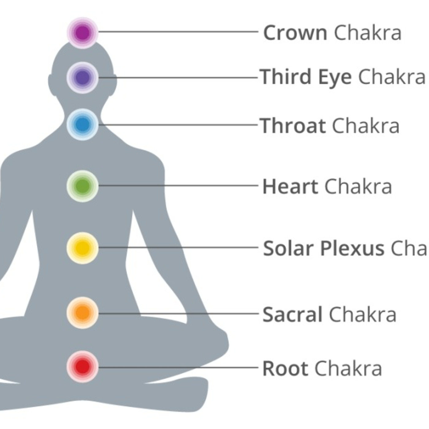 Yoga Training Tips - Michele Hauswirth