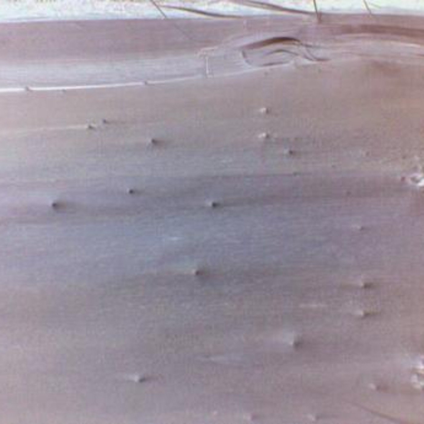valley of capsules