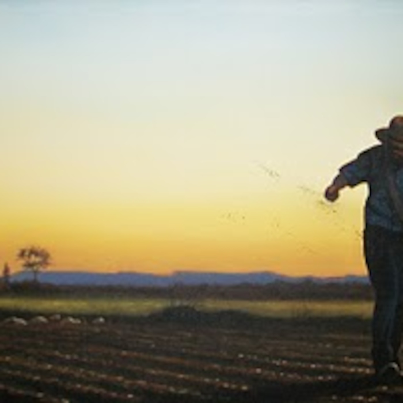 The Seed Is The Word Of God episode artwork