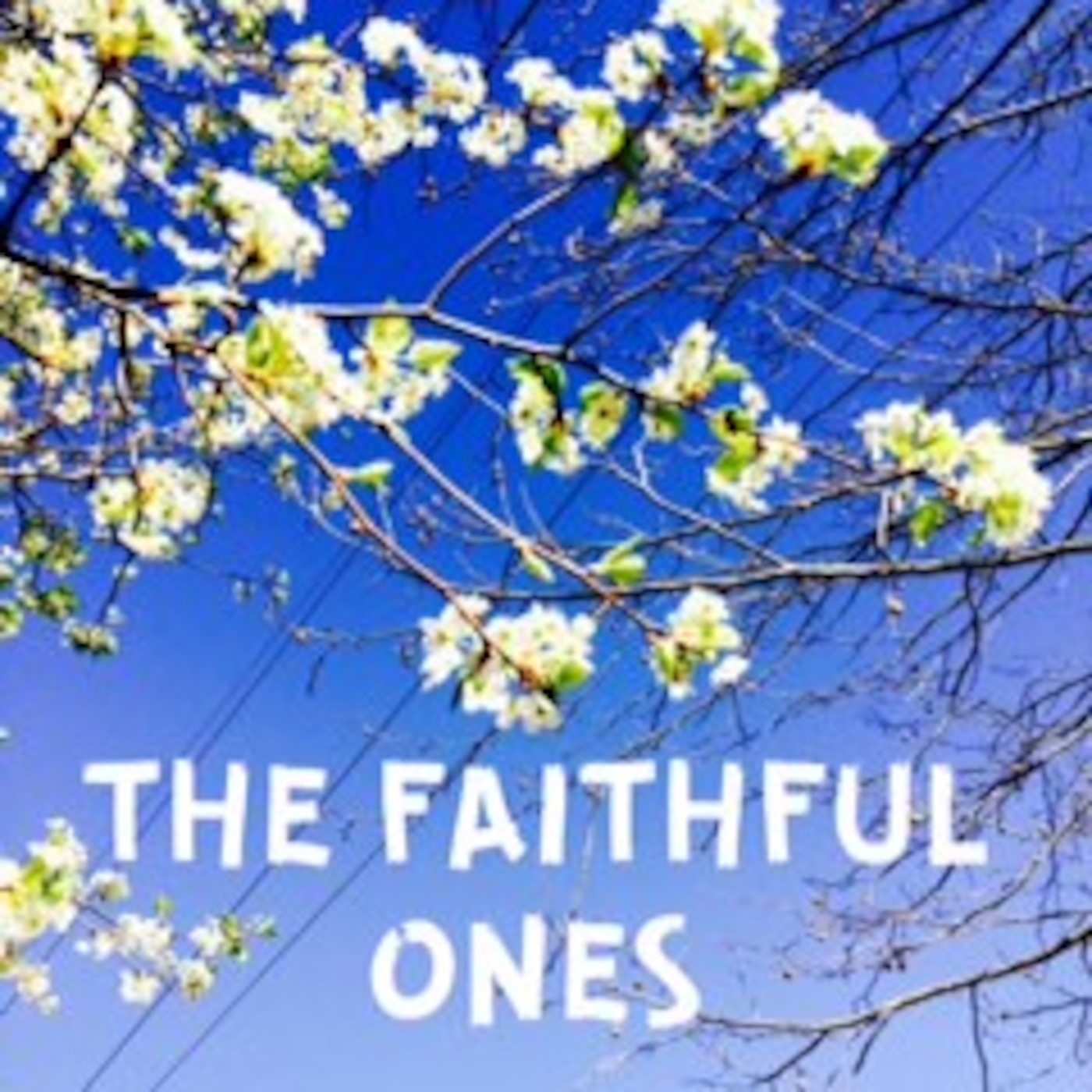 The Faithful Ones episode artwork