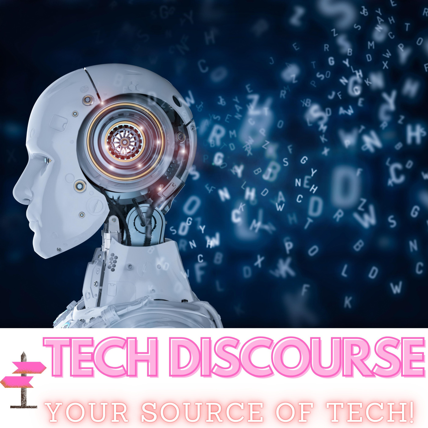 Episode 20: Biases in Machine Learning Part I