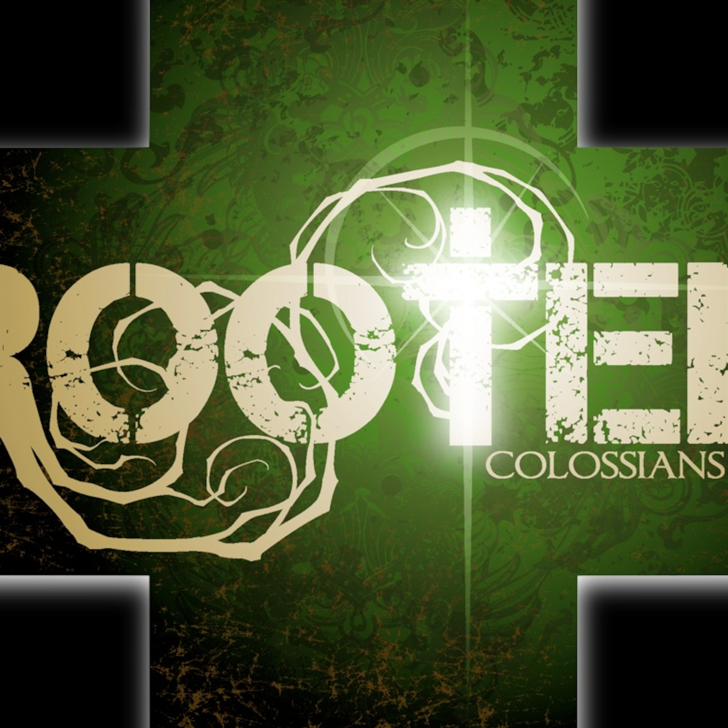 Rooted episode artwork
