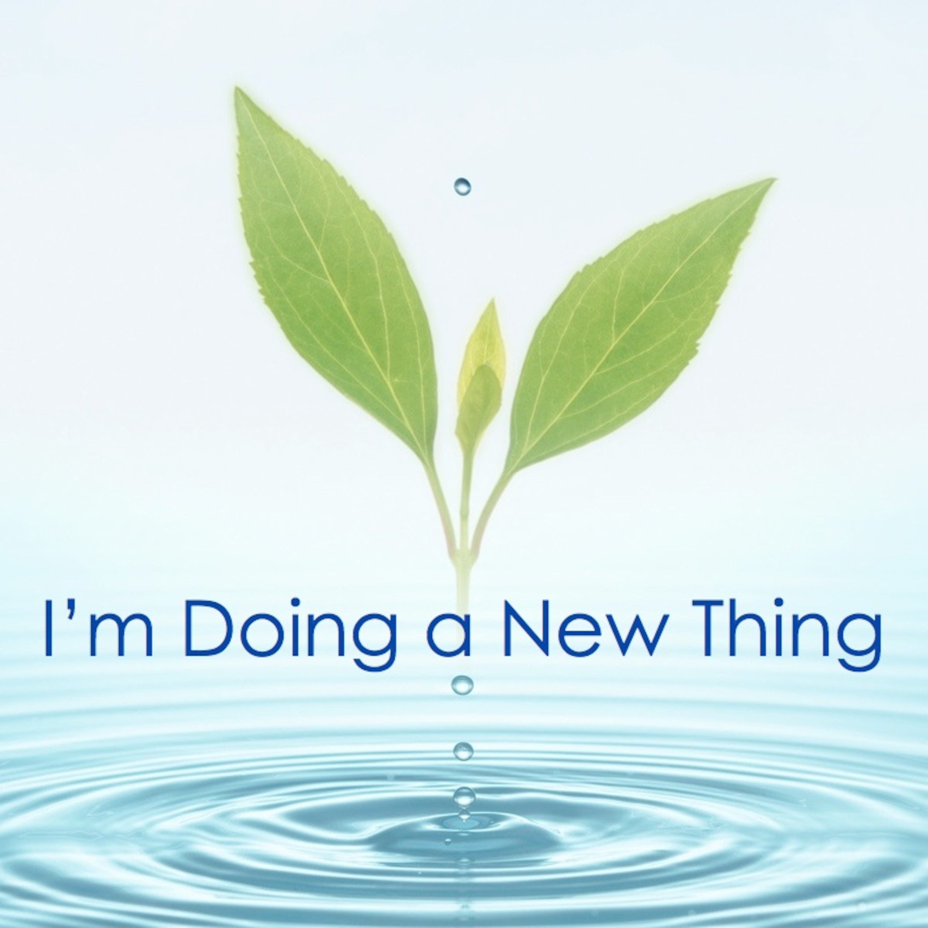 I'm Doing a New Thing episode artwork