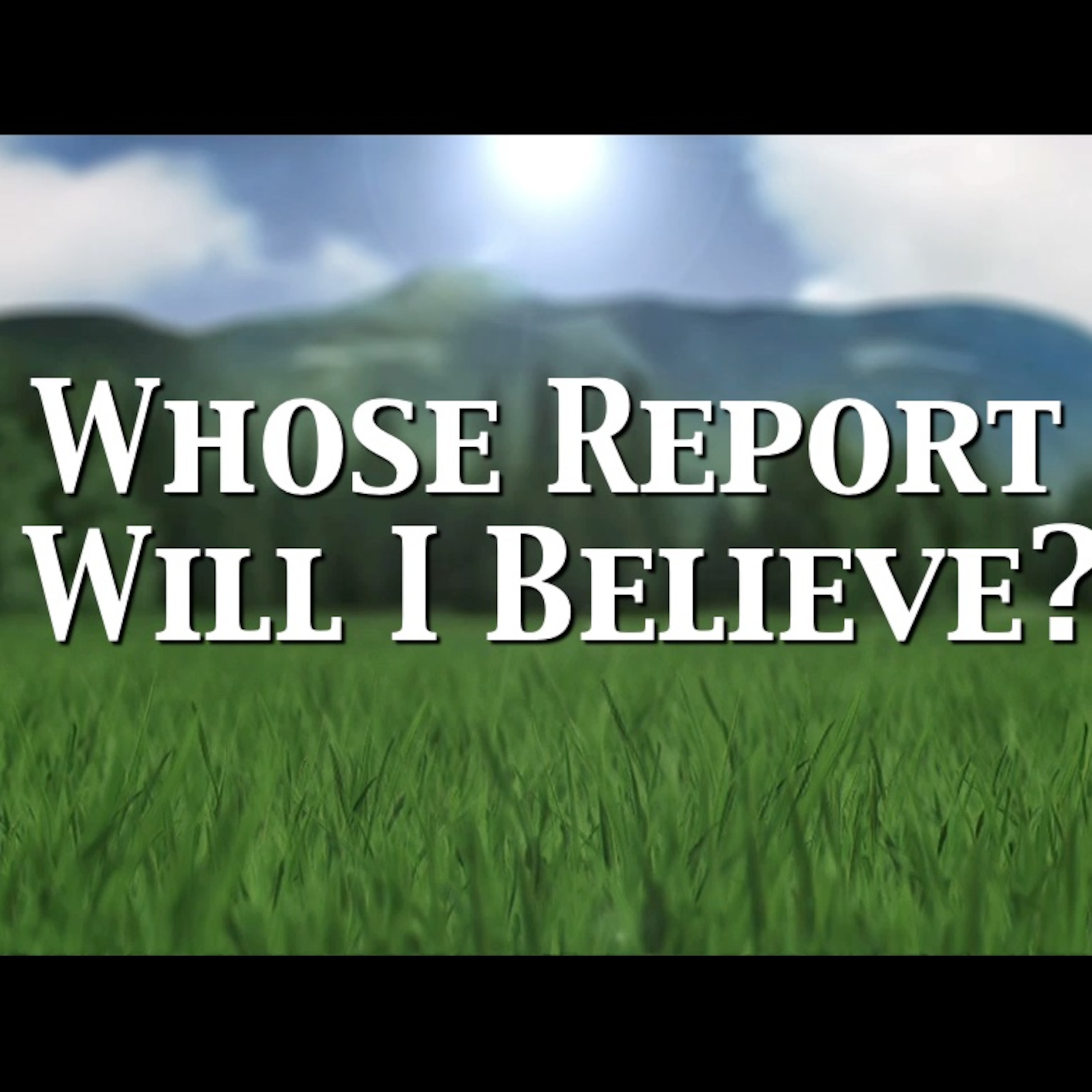 Whose Report Will I Believe episode artwork