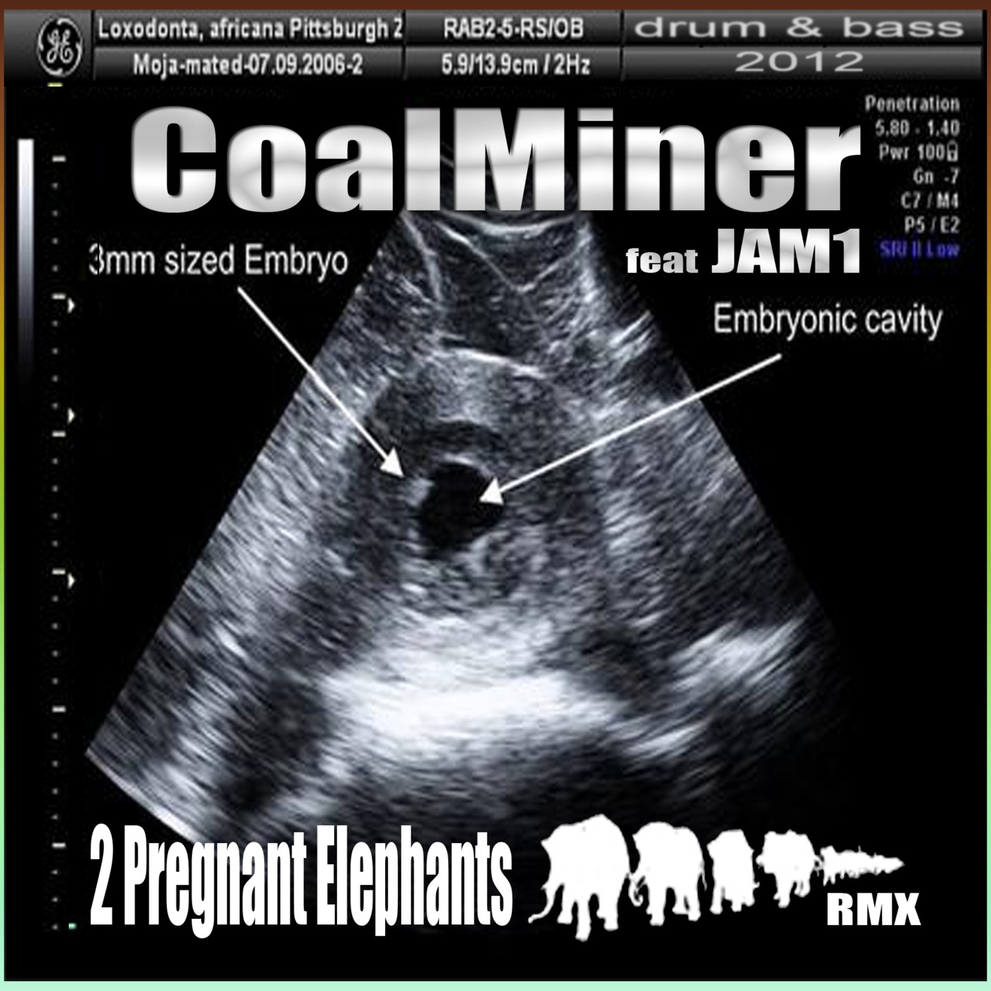 CoalMiner - 2 Pregnant Elephants RMX VIP episode artwork