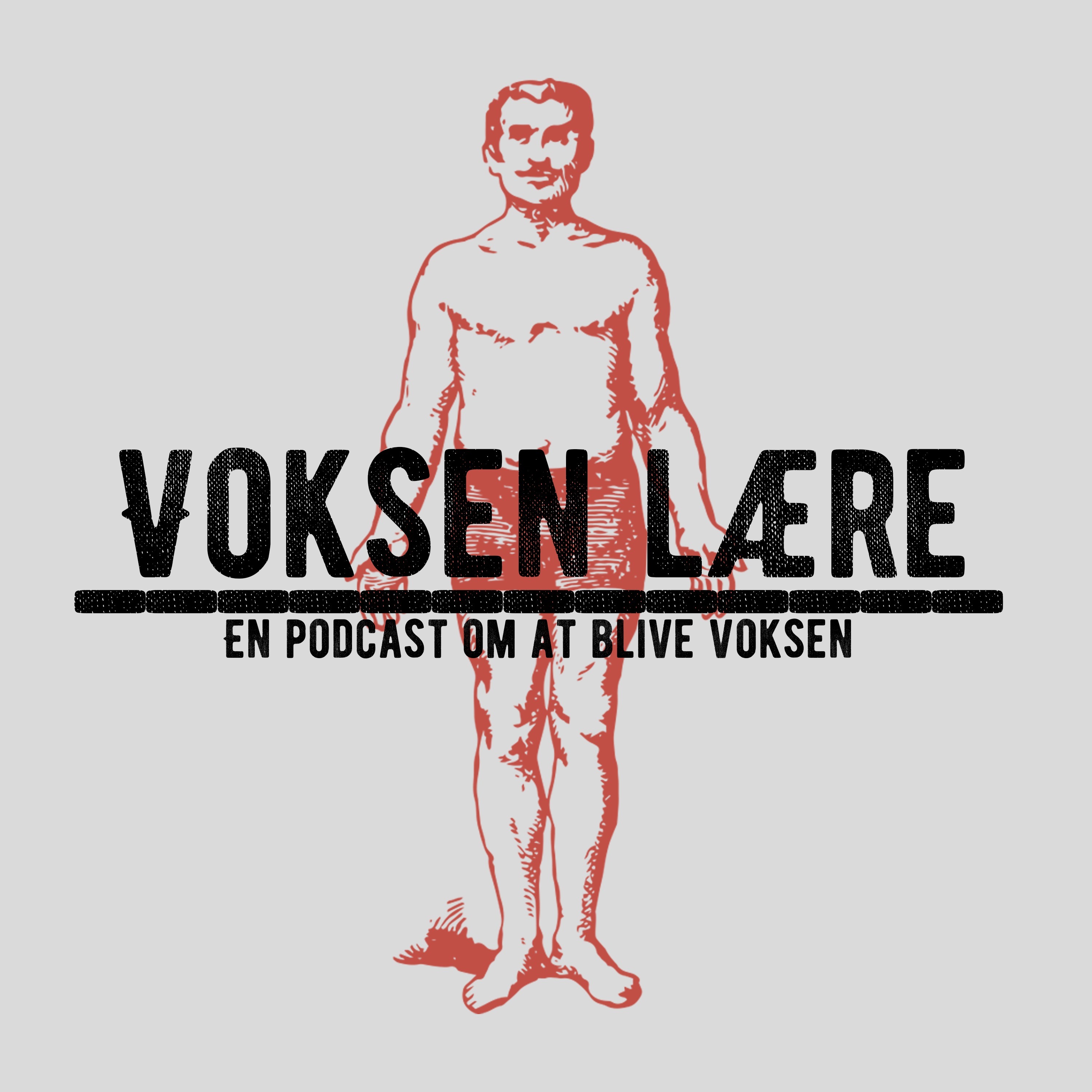 Voksenlære