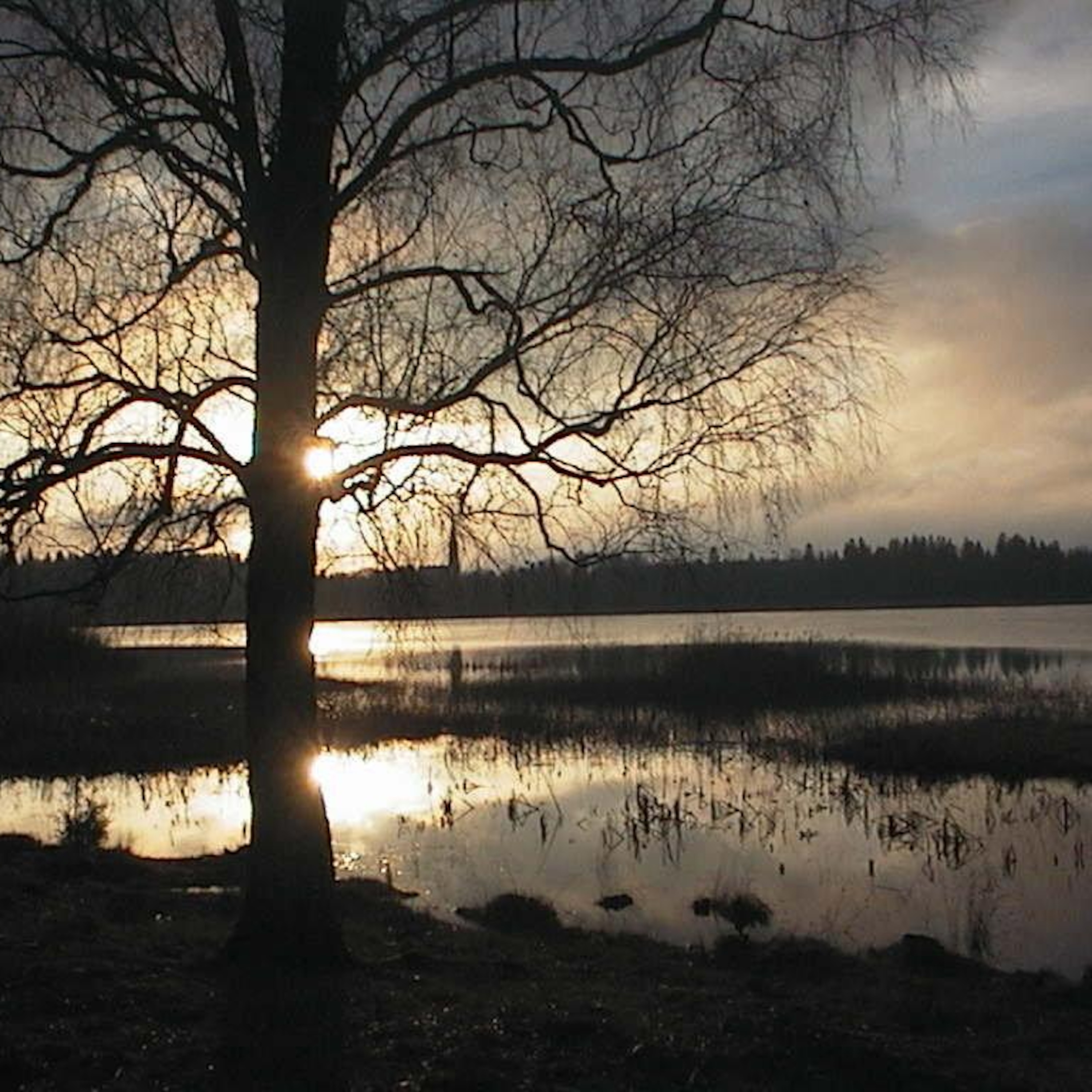 A walk in Himlinge (75)