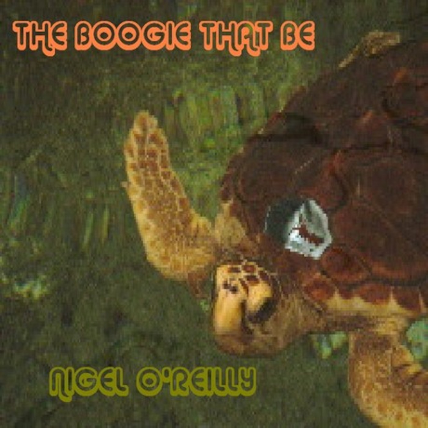 The Boogie That Be