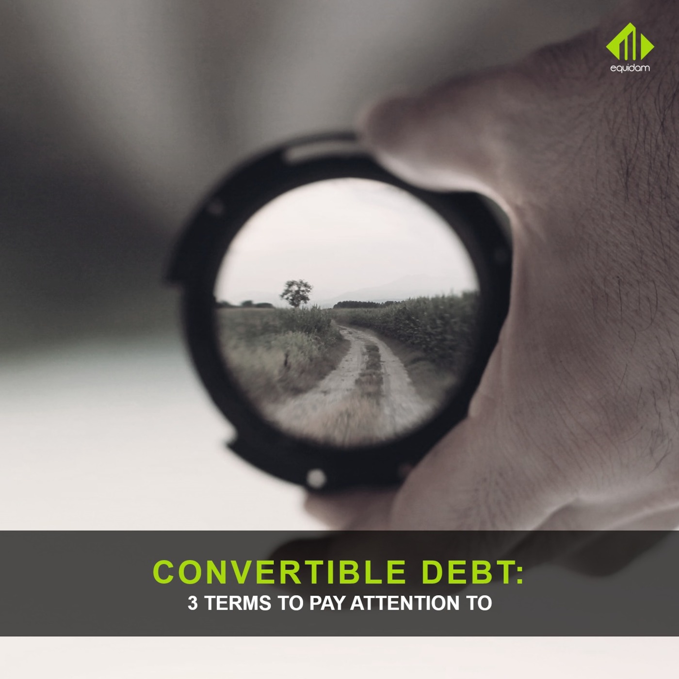 Convertible Debt: Risks And Terms To Be Aware Of