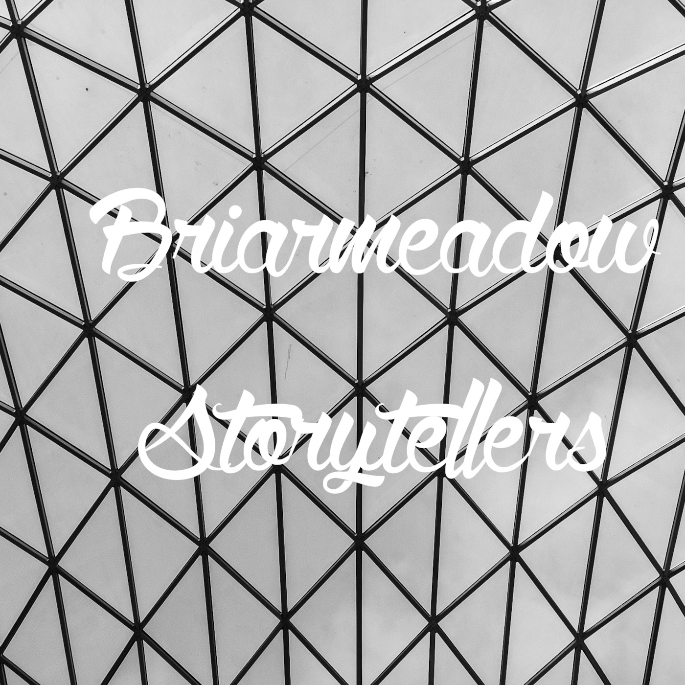 Briarmeadow Storytellers