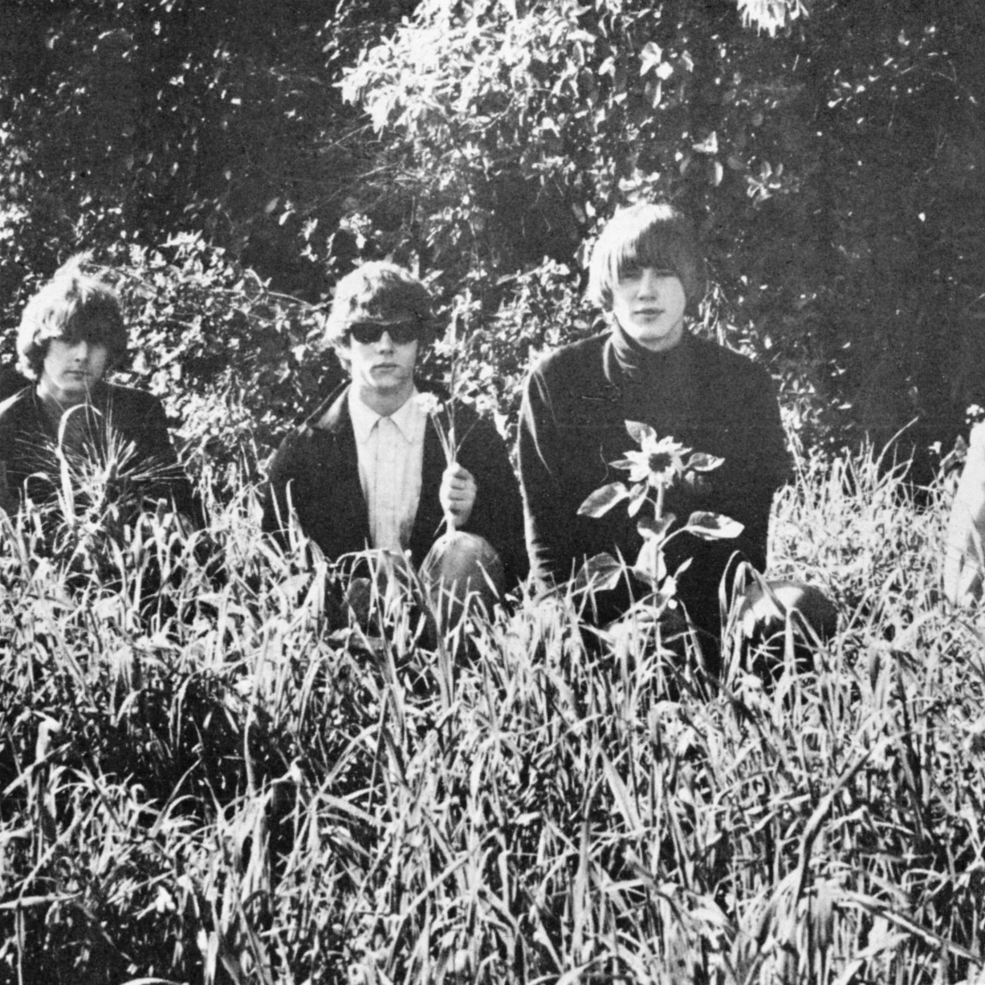 Come To The Sunshine