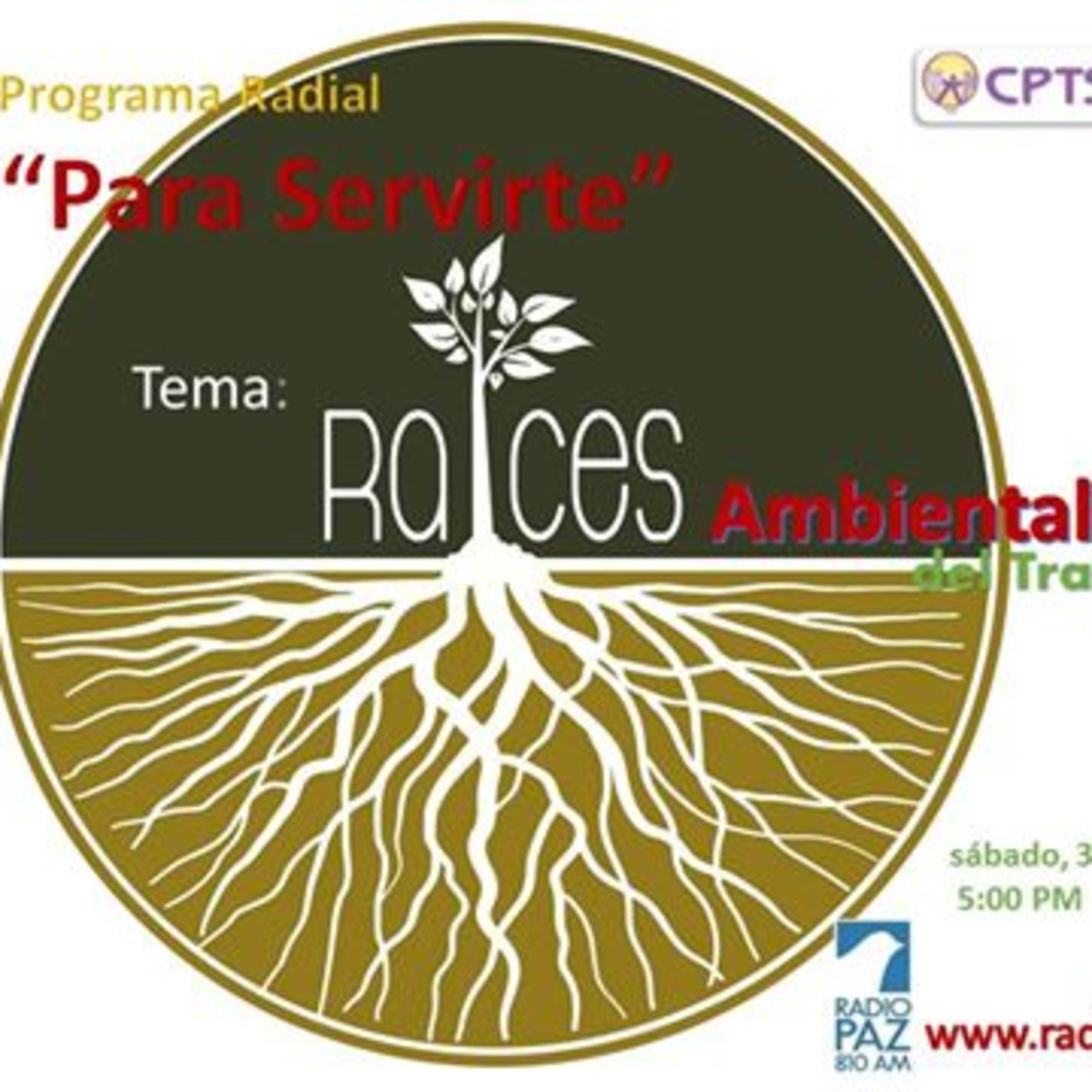 Programa Radial \