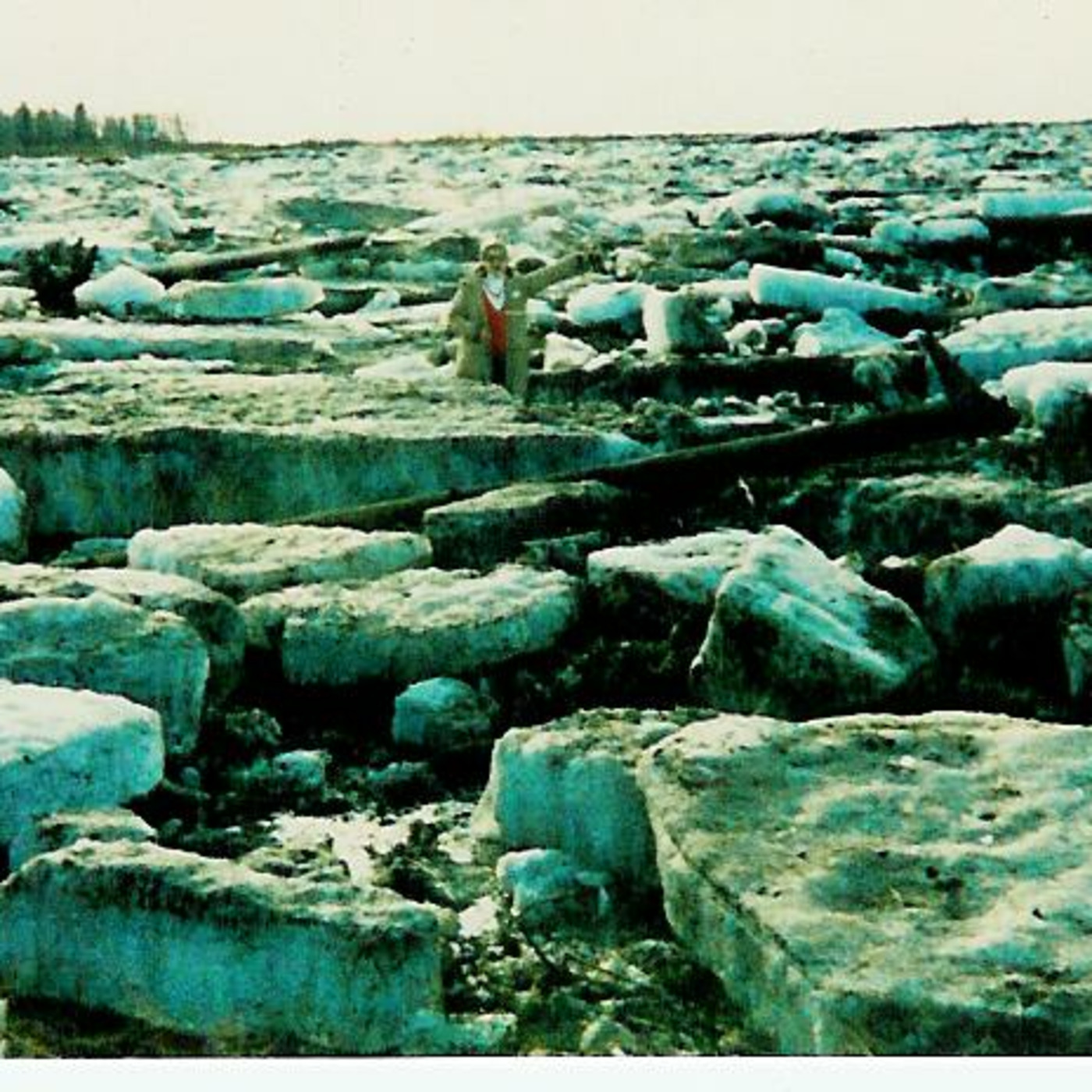 Carla McNeil\'s Teleseminars