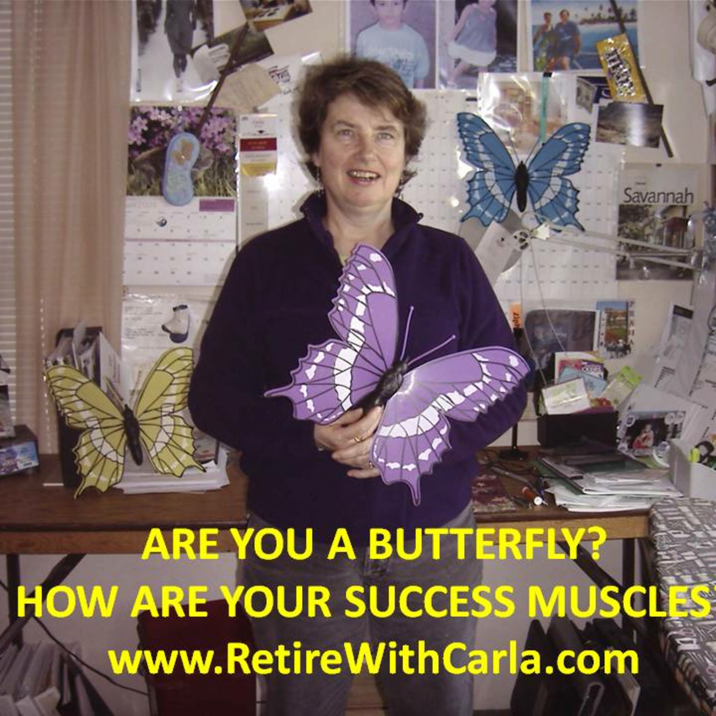 Carla McNeil\'s Teleseminars