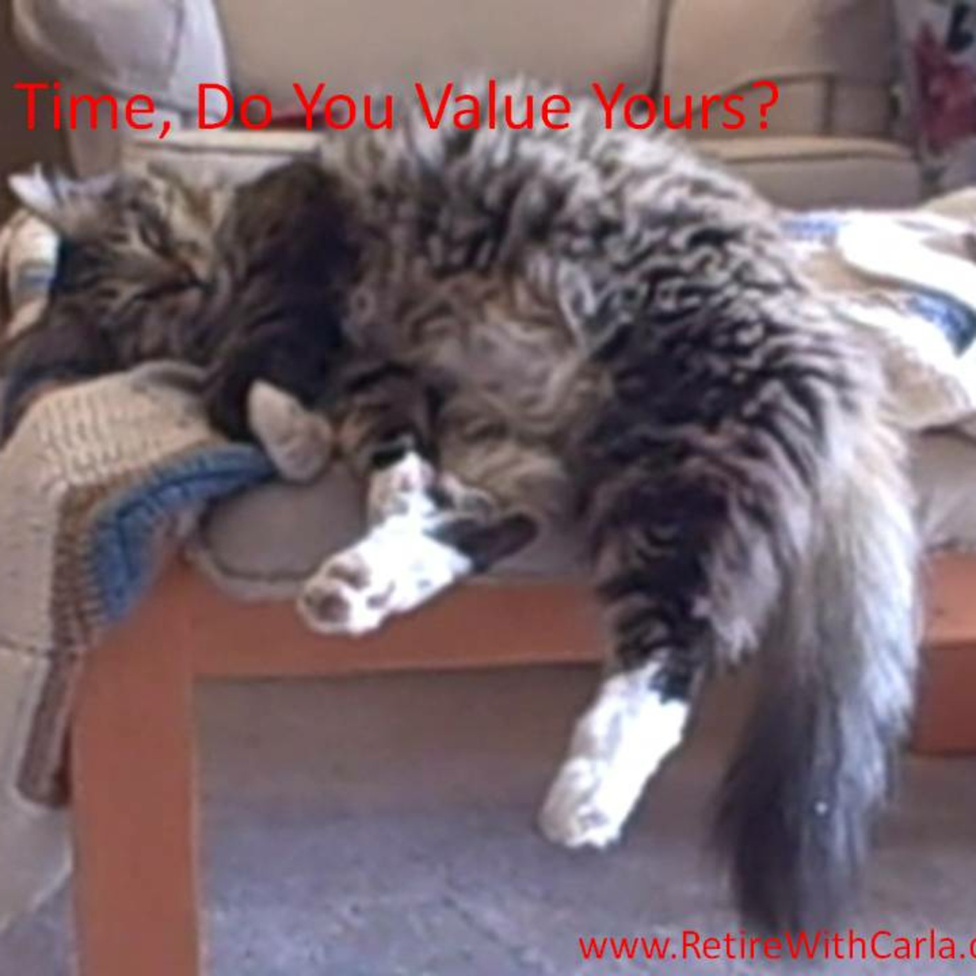 Carla McNeil\'s Teleseminars