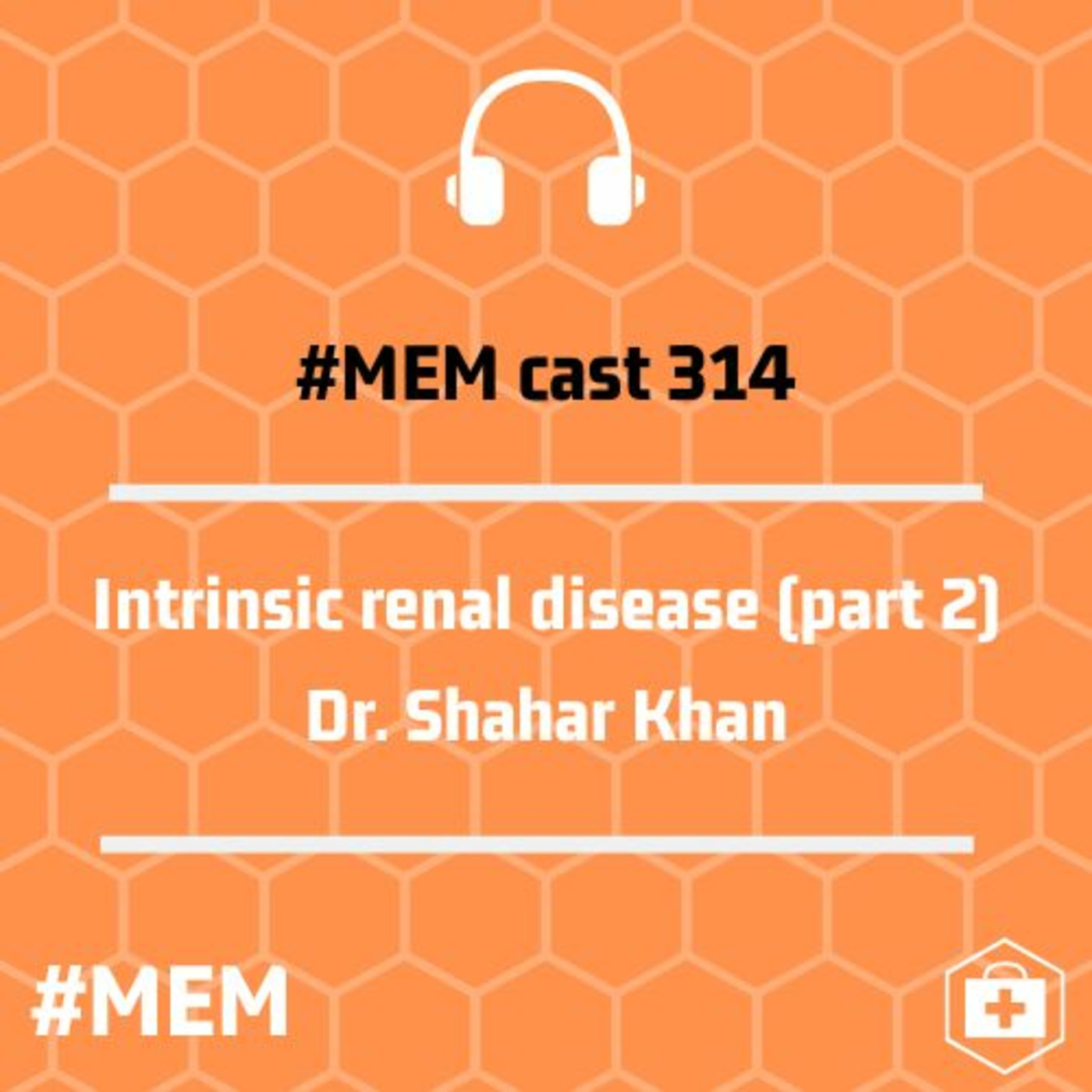 Episode 317: Intrinsic renal disease (part 2)