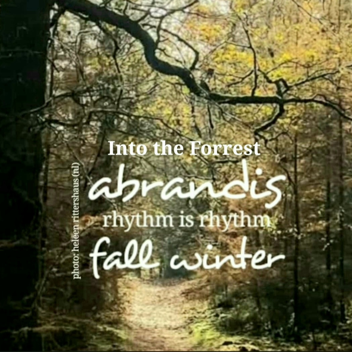 Episode 53: Into The Forrest