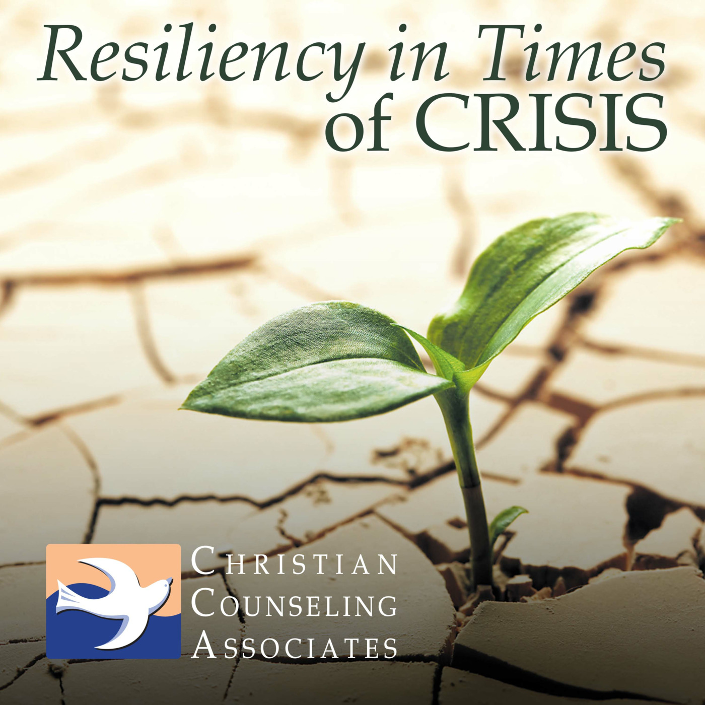 Resiliency in Times of Crisis